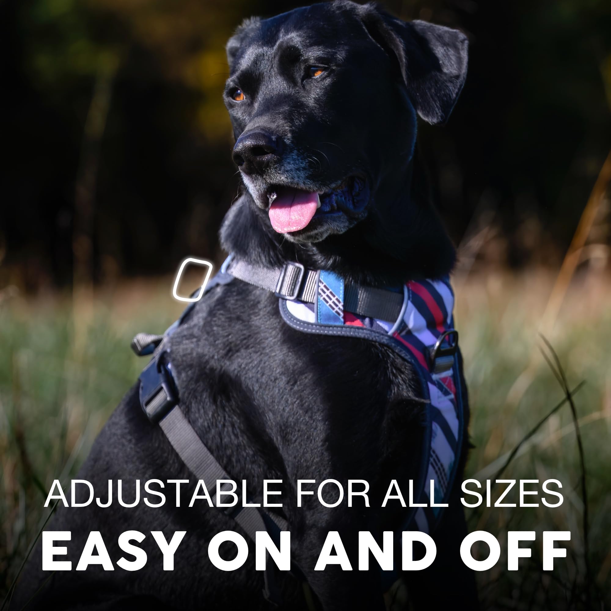 Embark Adventure Dog Harness, Reflective Trim No Pull Dog Harness Medium Sized Dogs - Military Grade Nylon, Front Clip With Gel