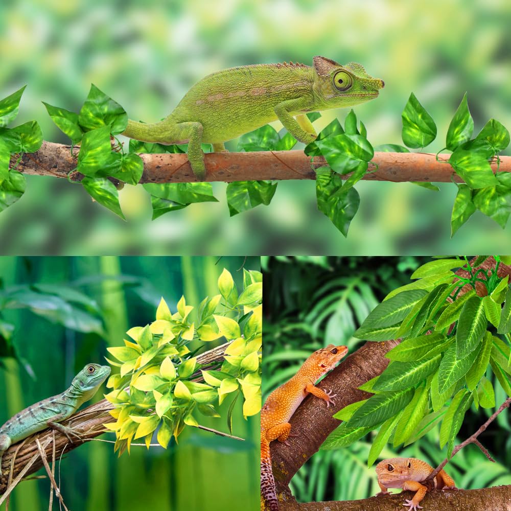 KATUMO Reptile Plants, 3 PCS Amphibian Hanging Plants with Suction Cup for Lizards, Geckos, Bearded Dragons, Snake, Hermit Crab