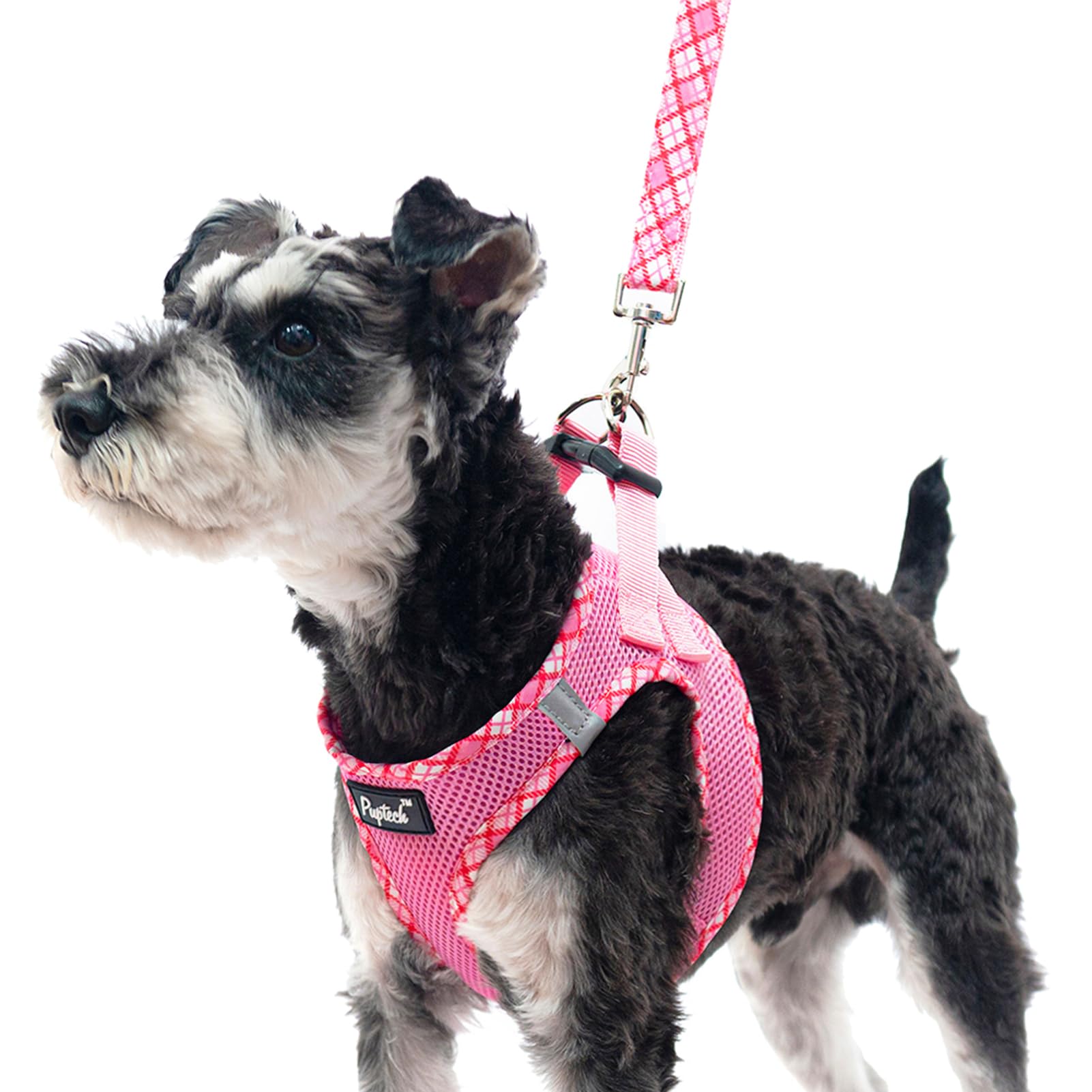 Pupteck Dog Harness And Leash Set For Small Medium Dogs No Pull Step-In Soft Mesh Puppy Cat Vest Harnesses Reflective At Night, Pink M