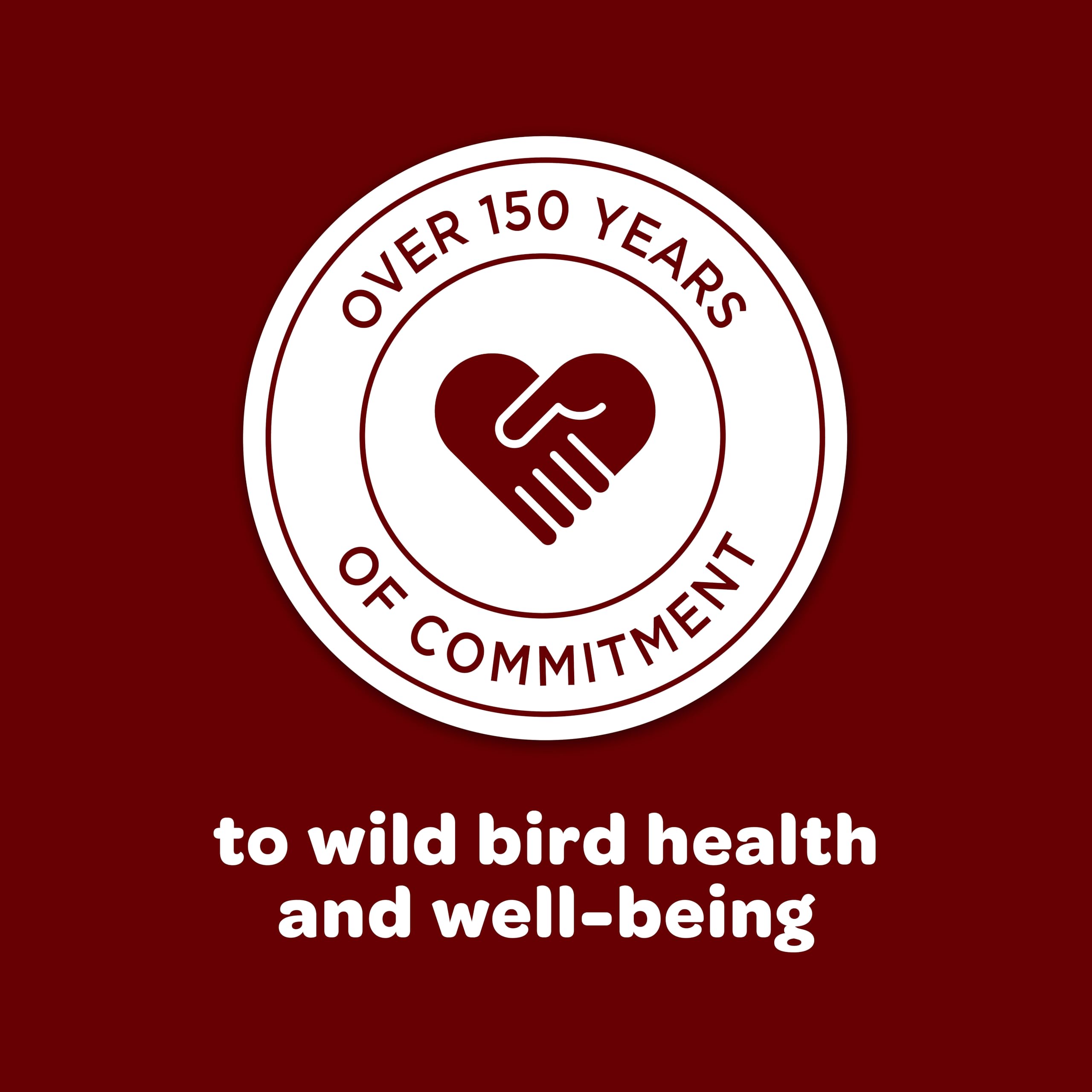 Kaytee Cardinal Wild Bird Seed Cake 1.85 Pounds 4 Count