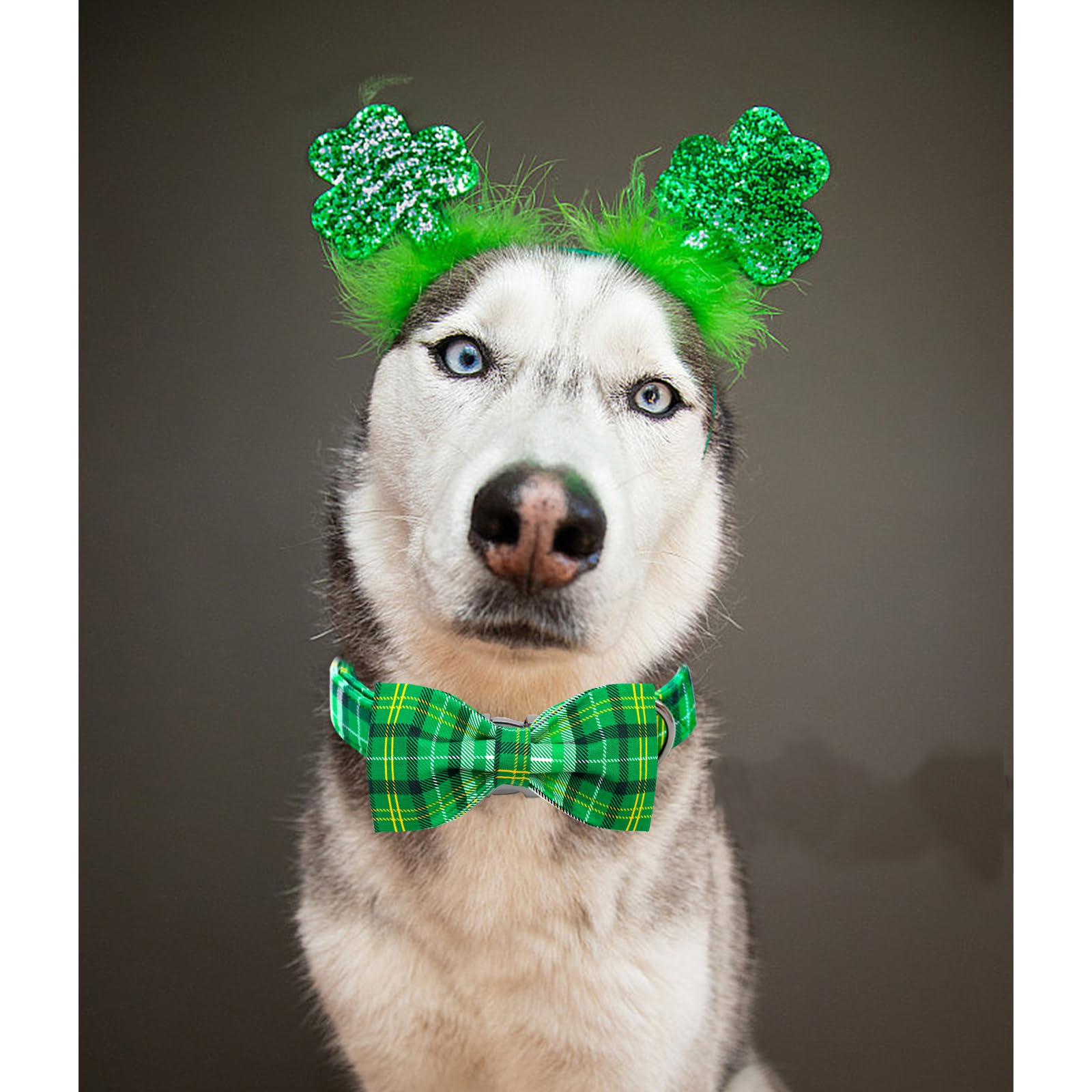 Lionheart Glory Dog Bow Collar St. Patrick'S Day Dog Collar For Large Dogs, Adjustable Green Plaid Collars Spring Dog Collar Wit