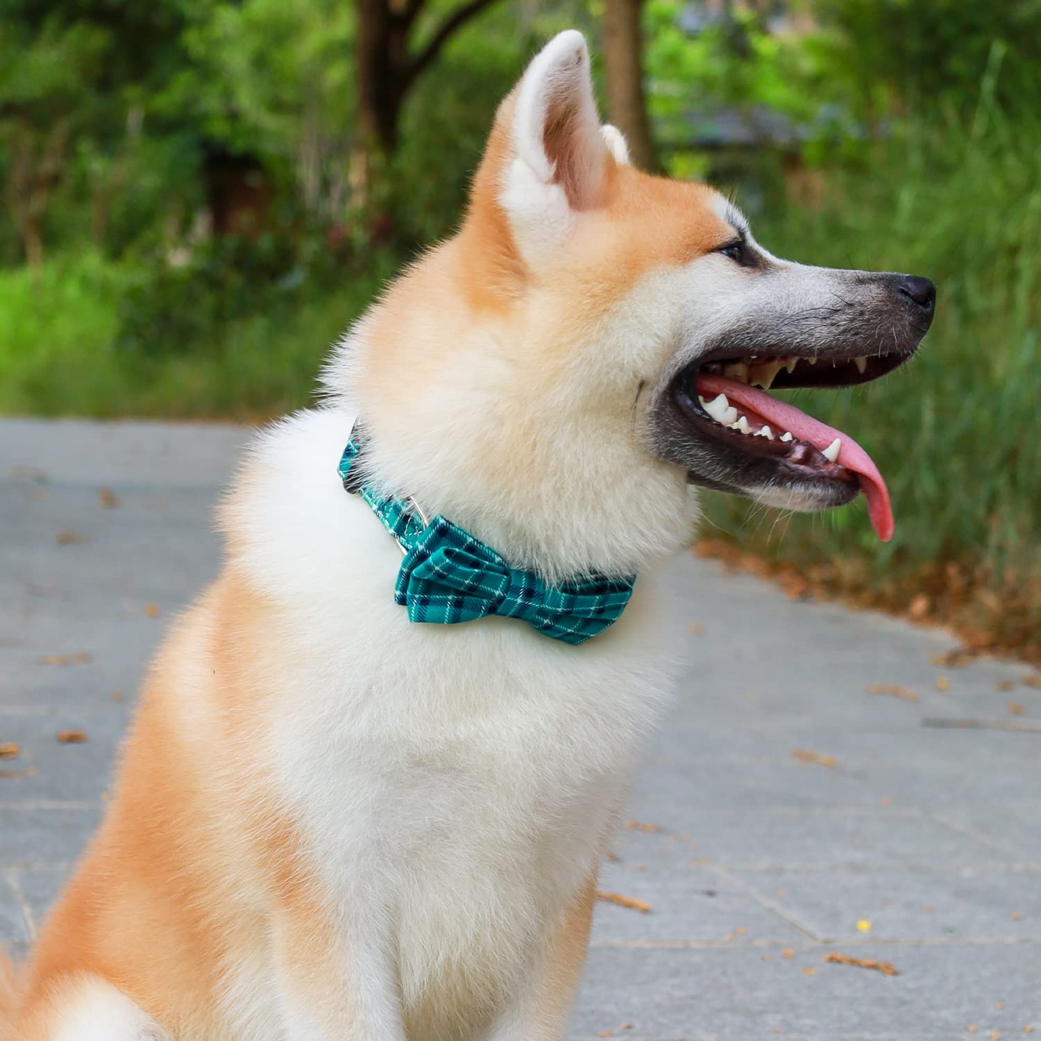Faleela Soft &Comfy Bowtie Dog Collar,Detachable And Adjustable Bow Tie Collar,For Small Medium Large Pet (Small (Pack Of 1), Gr