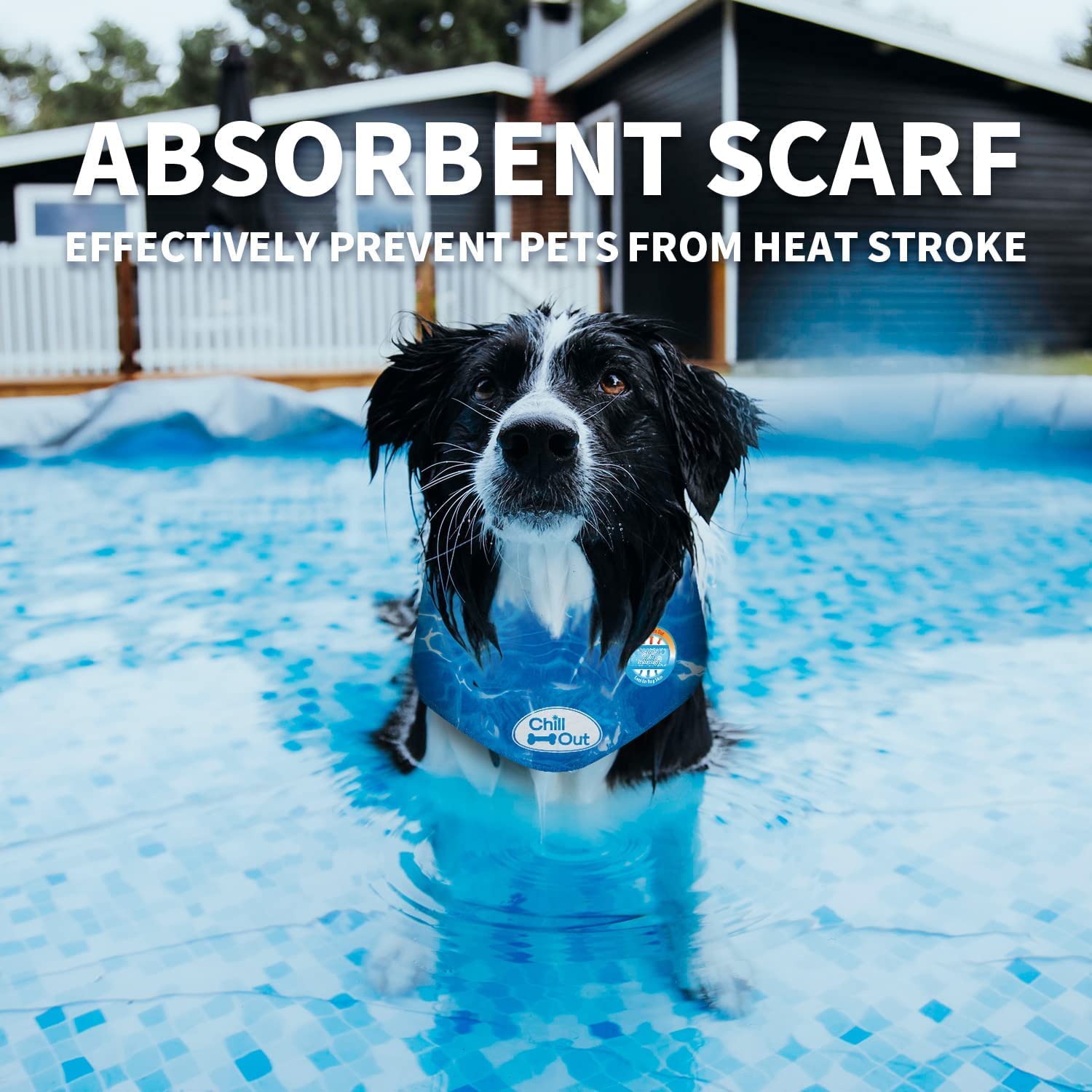 All For Paws Chill Out Ice Bandana, Large