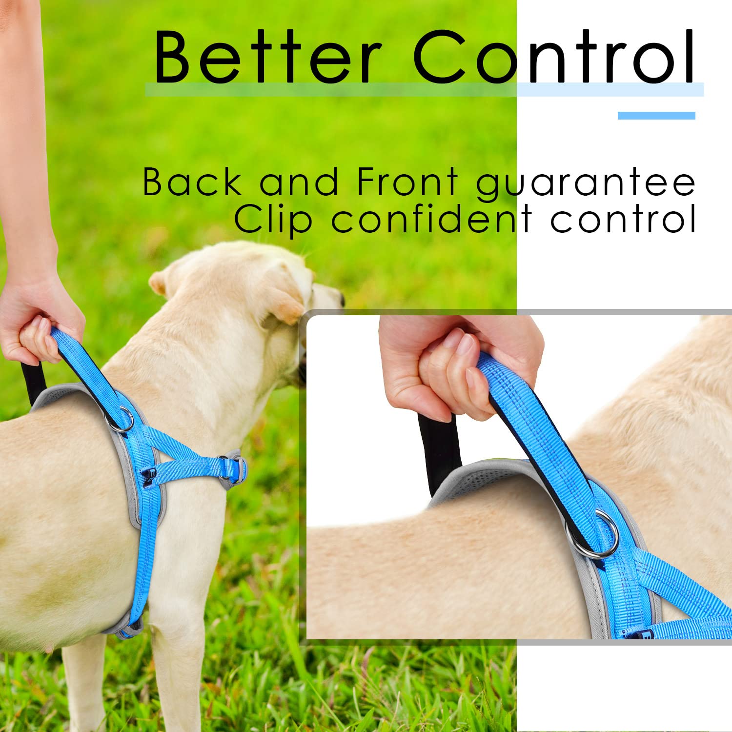 ADVENTUREMORE Small Dog No Pull Harness, Adjustable XL Vest, Reflective, Light Blue, Escape Proof with QR Code Tag, Model CPHA-0415-QR-XL-LBU