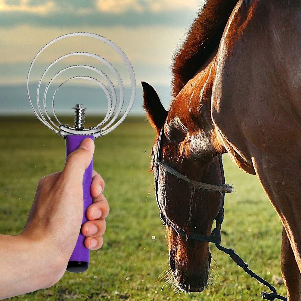 Both Winners Reversible Stainless Steel Curry Comb With Soft Touch Grip (Purple)