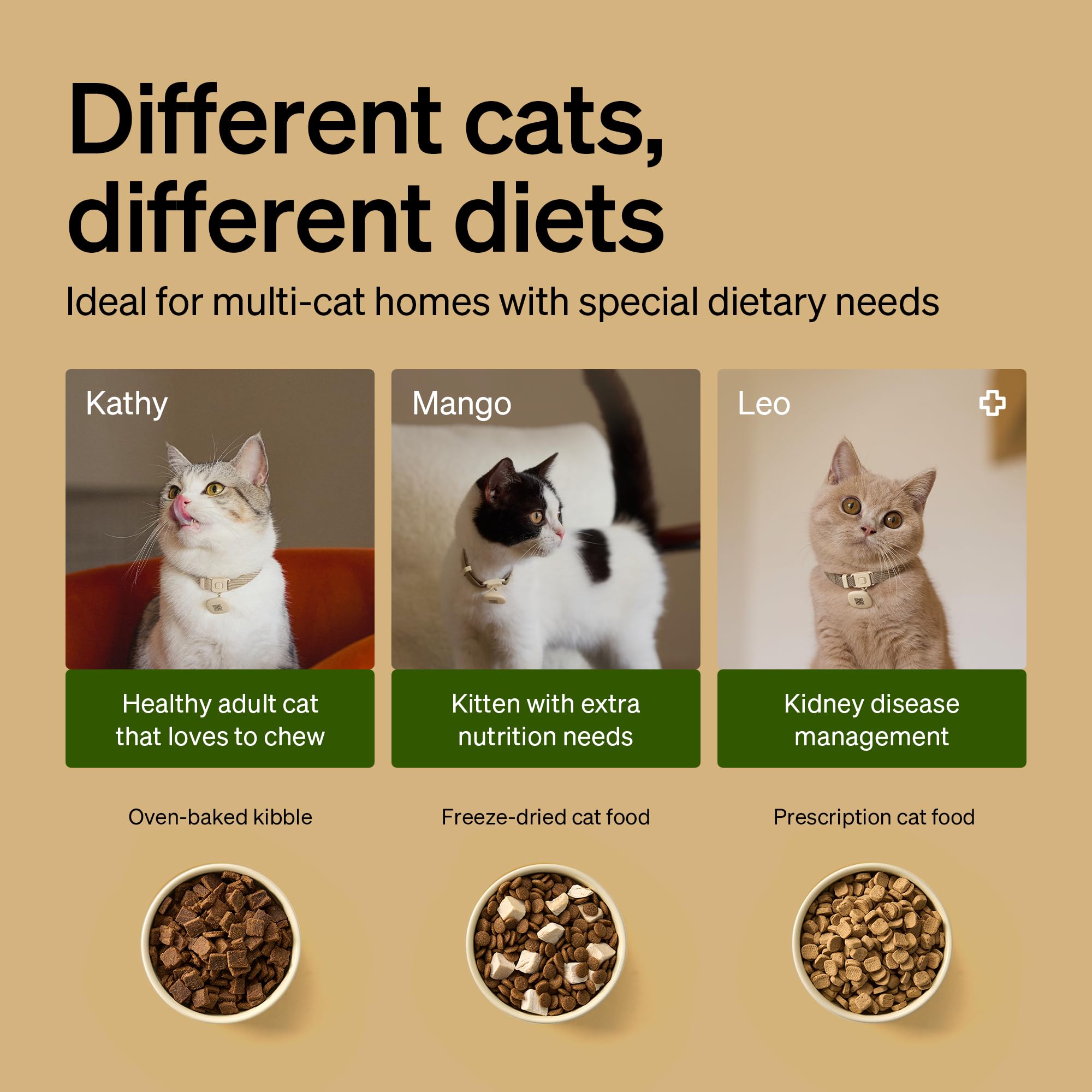 PETLIBRO RFID Automatic Cat Feeder, Collar Sensor-Activated Personalized Meals, Cats Recognition & Diet Tracking for Multi-Pet H