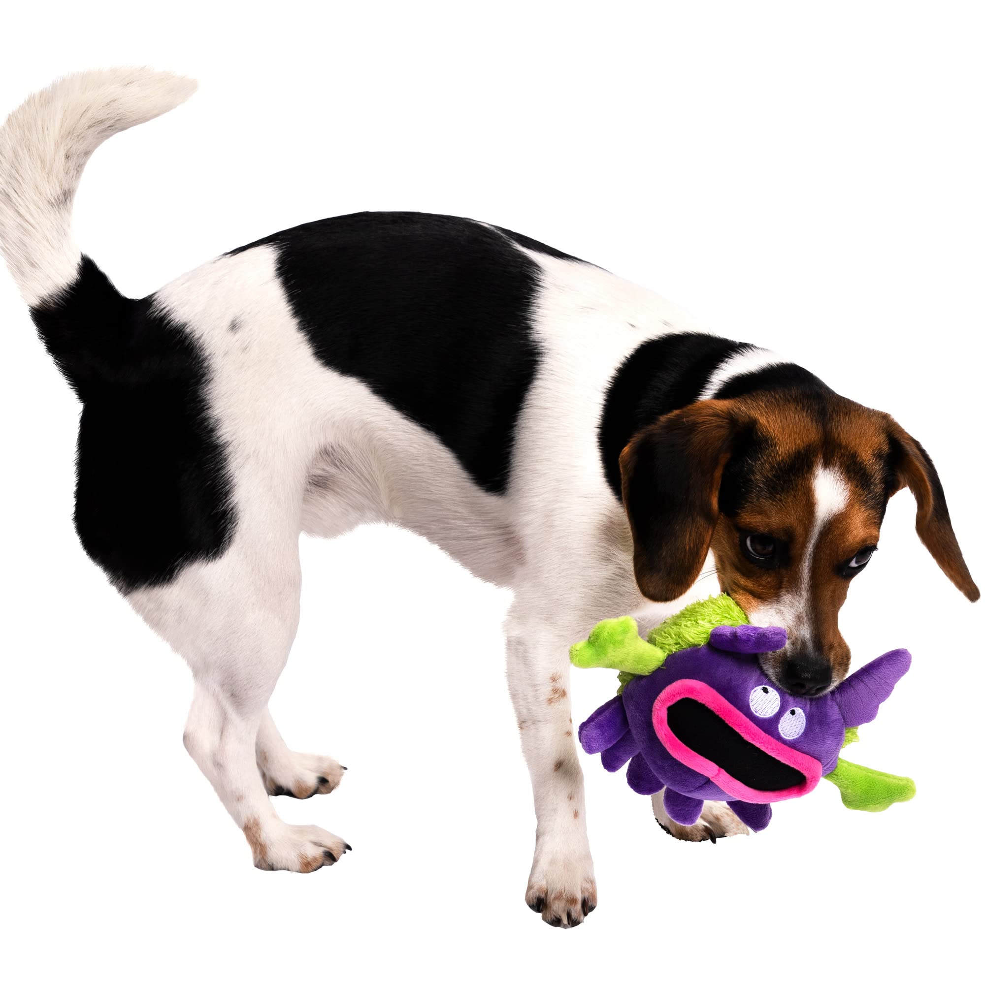 goDog Plush Germs Squeaky Dog Toy - Large, Purple, Chew Guard Technology, Odor-Eliminating Oils, Model 70098