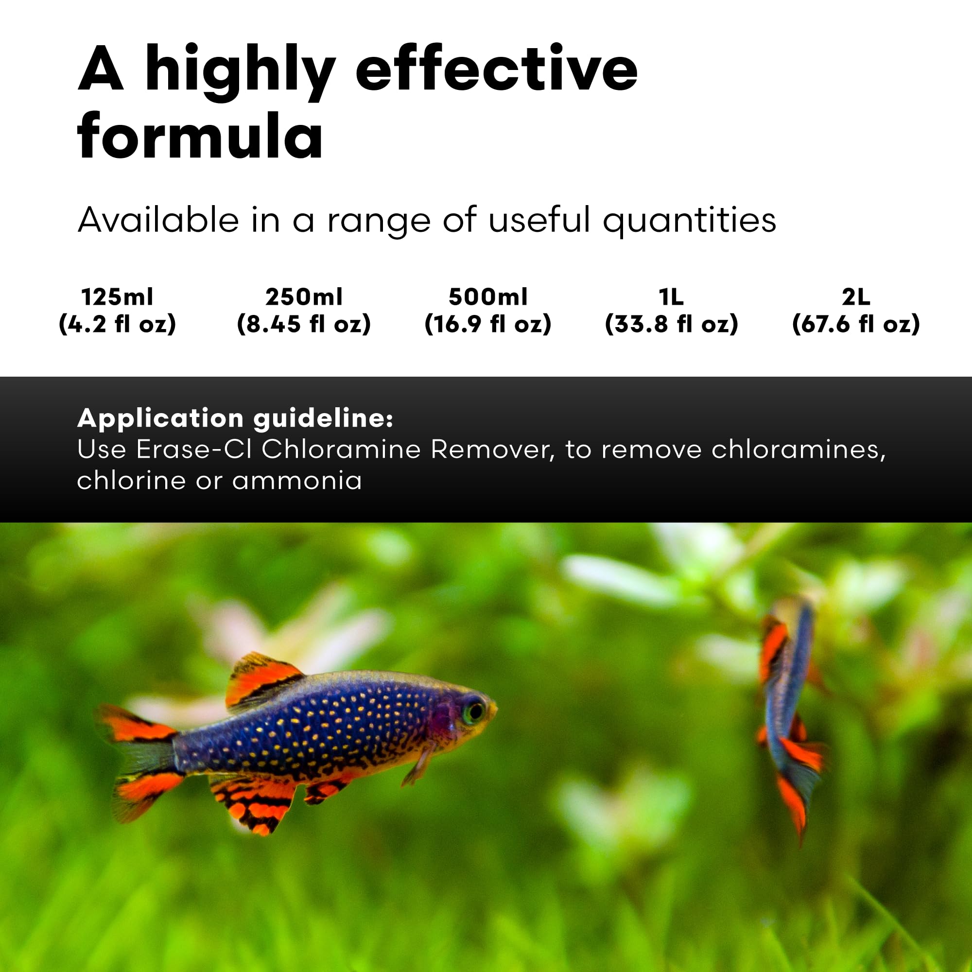 Brightwell Aquatics Erase-Cl - Chloramine, Chlorine and Ammonia Remover - Aquarium Water Conditioner for Salt and Freshwater Fis