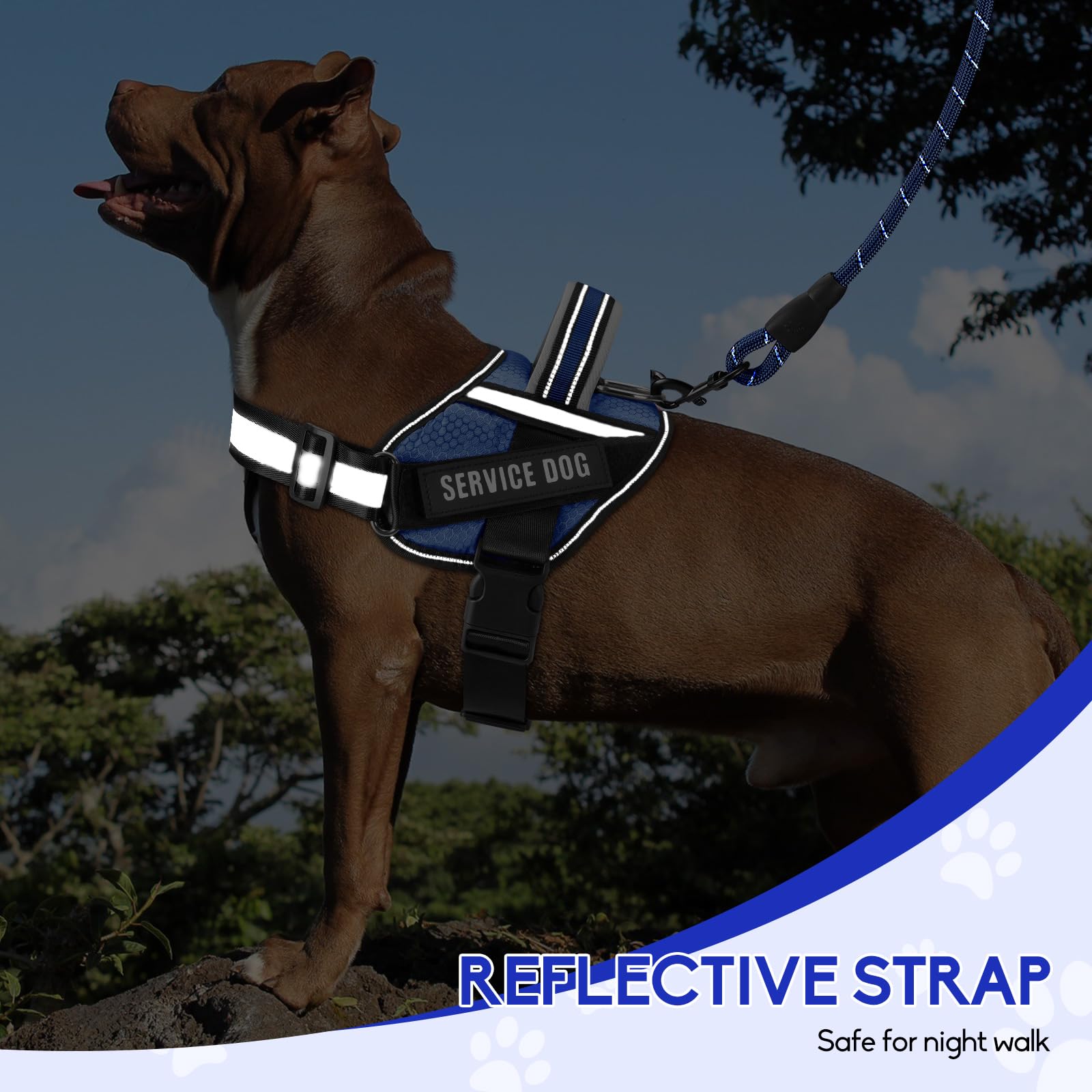 Service Dog Vest Harness And Leash Set, Animire In Training Dog Harness With 10 Dog Patches, Reflective Dog Leash With Handle Fo