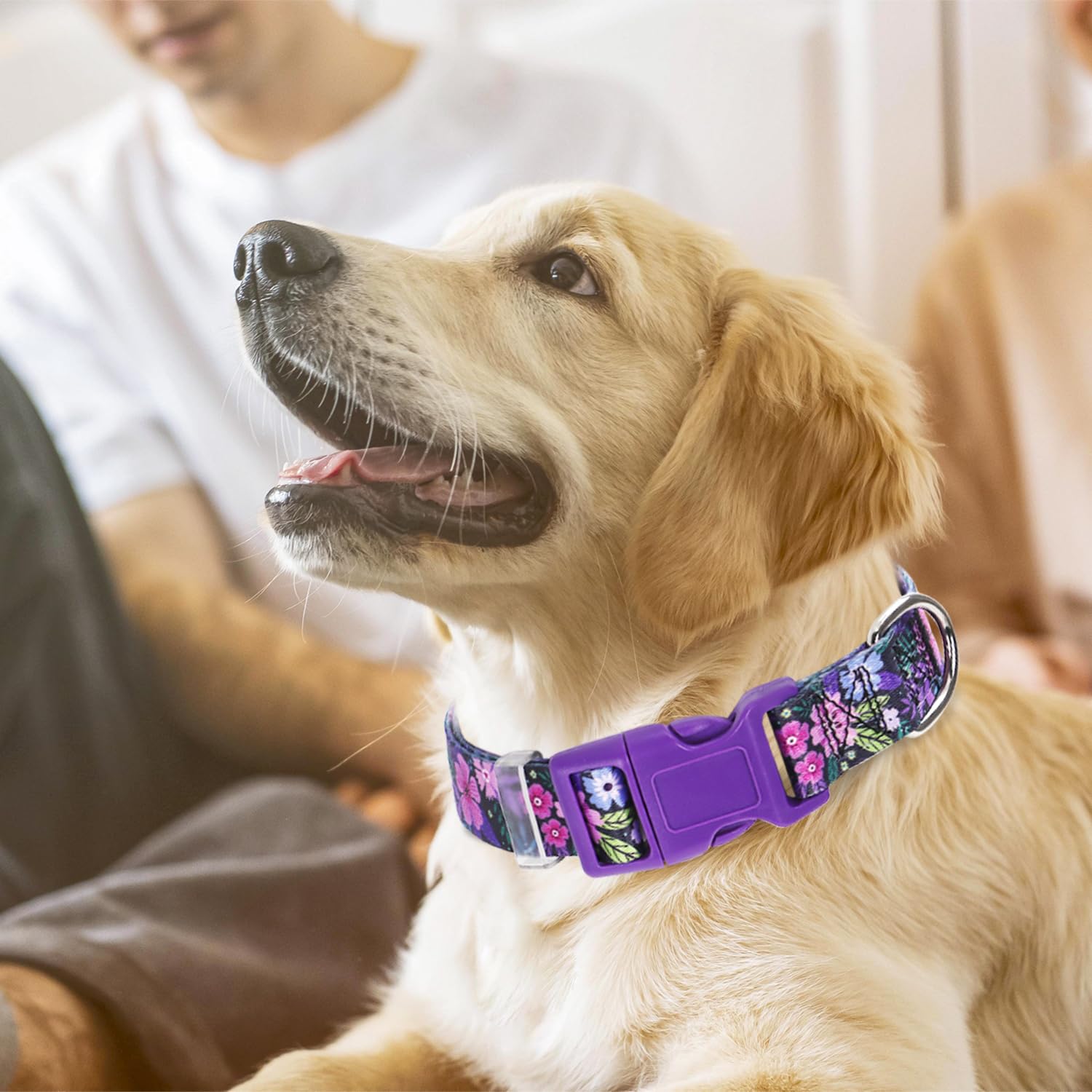 Puppy Collar, Cute Girl Purple Dog Collar With Boho Flowers Patterns, Adjustable Comfy Soft Durable Pet Cat Collar For Xs Small