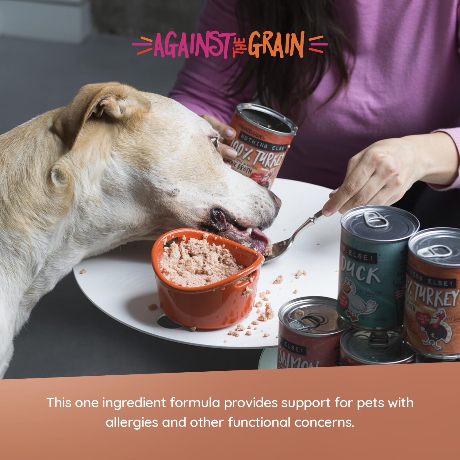 Evangers Against The Grain Nothing Else! Dog Food - 12, 11 oz Cans