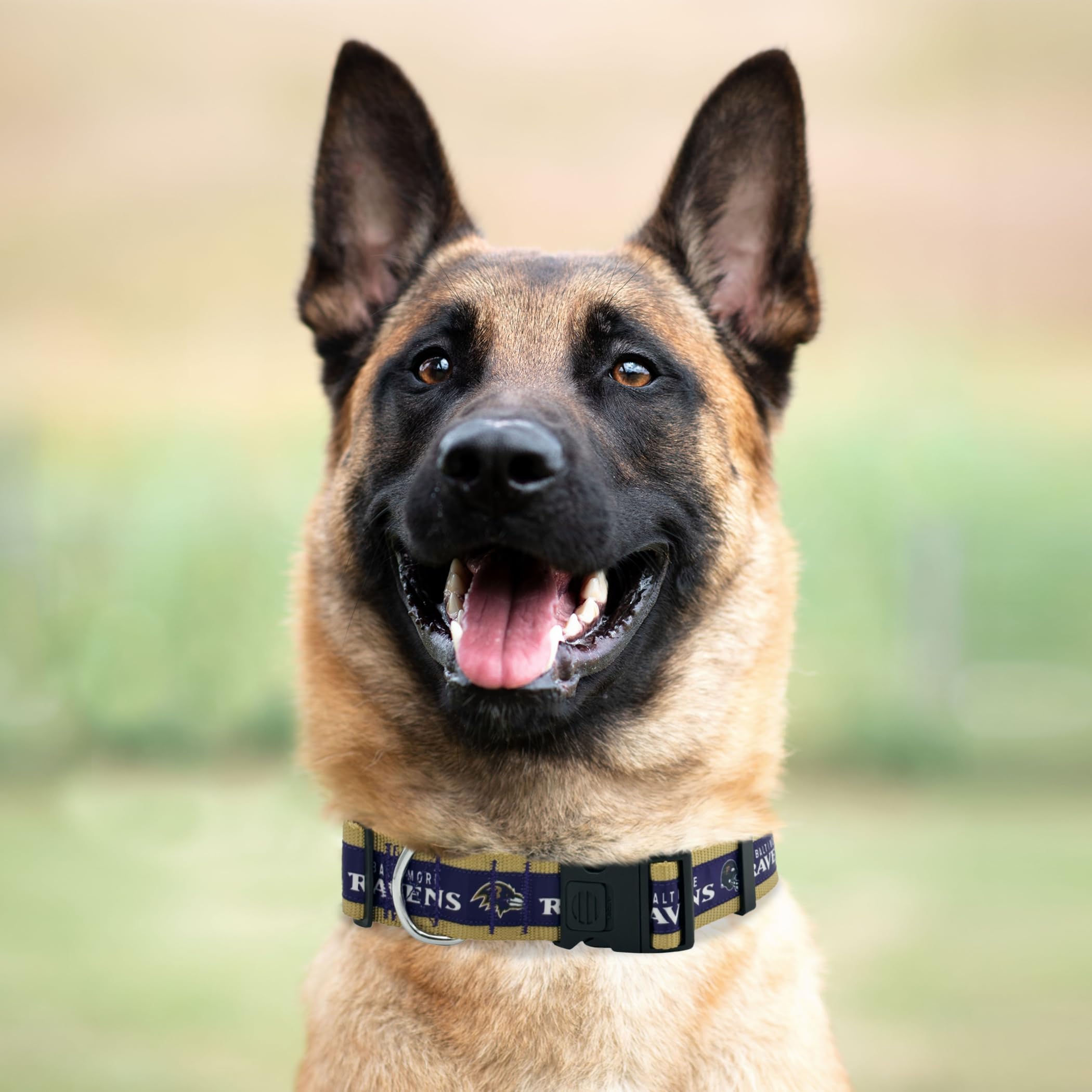 Pets First NFL Baltimore Ravens Licensed PET COLLAR, Small - Heavy-Duty, Strong, and Durable Dog Collar. Available in 31 Footbal