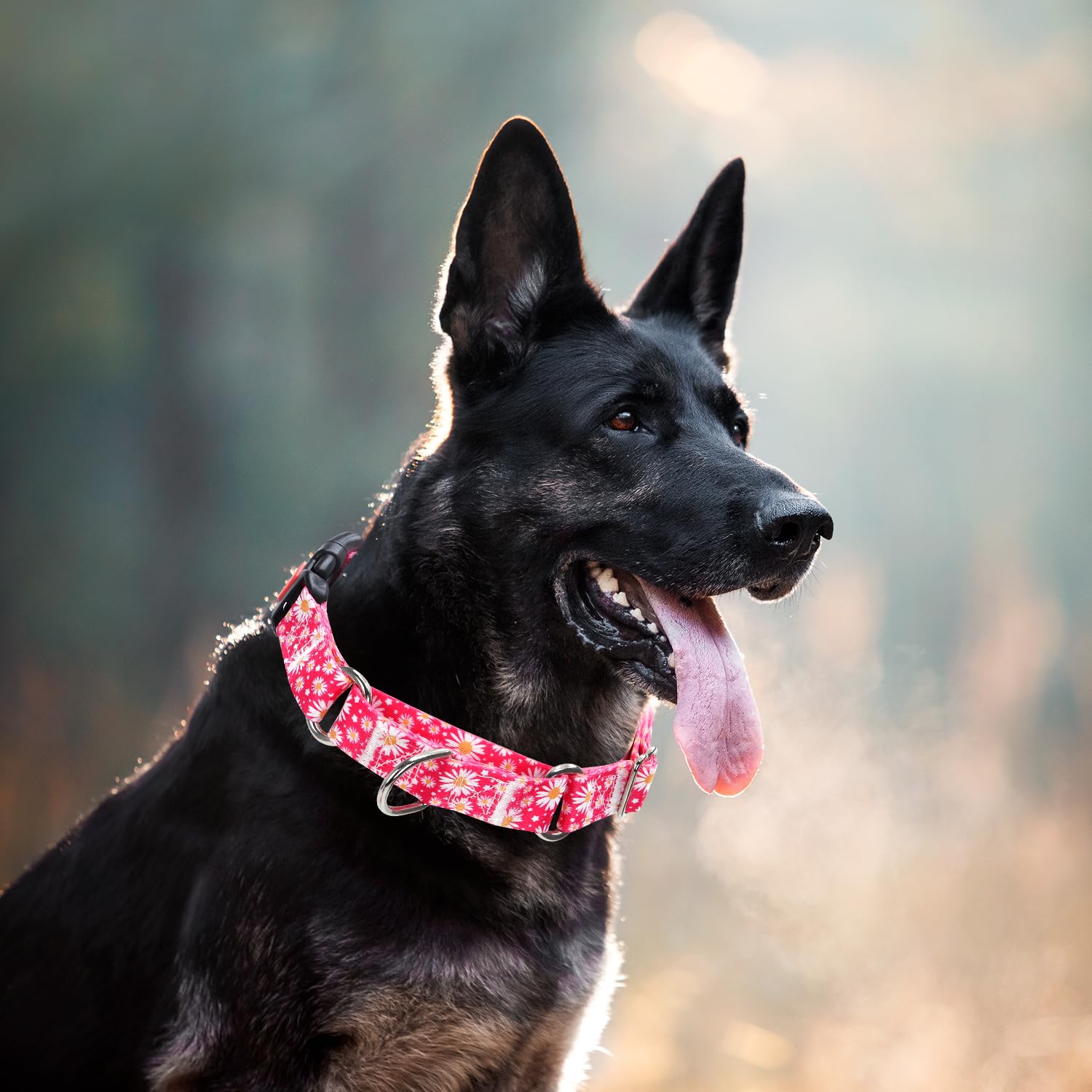Martingale Collar For Dogs, Rose Daisy Flowers Dog Collar For Small Medium Large Dogs, Adjustable Girl Dog Collars With Quick-Re