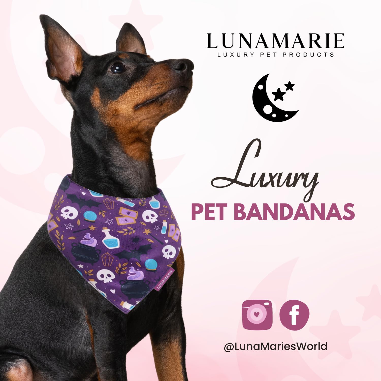 Lunamarie - Luxury Pet Birthday Bandanas -Premium & Silky Poly Fabric | 100% Handmade | Custom Shape Dual Layered (Bewitched, Sm