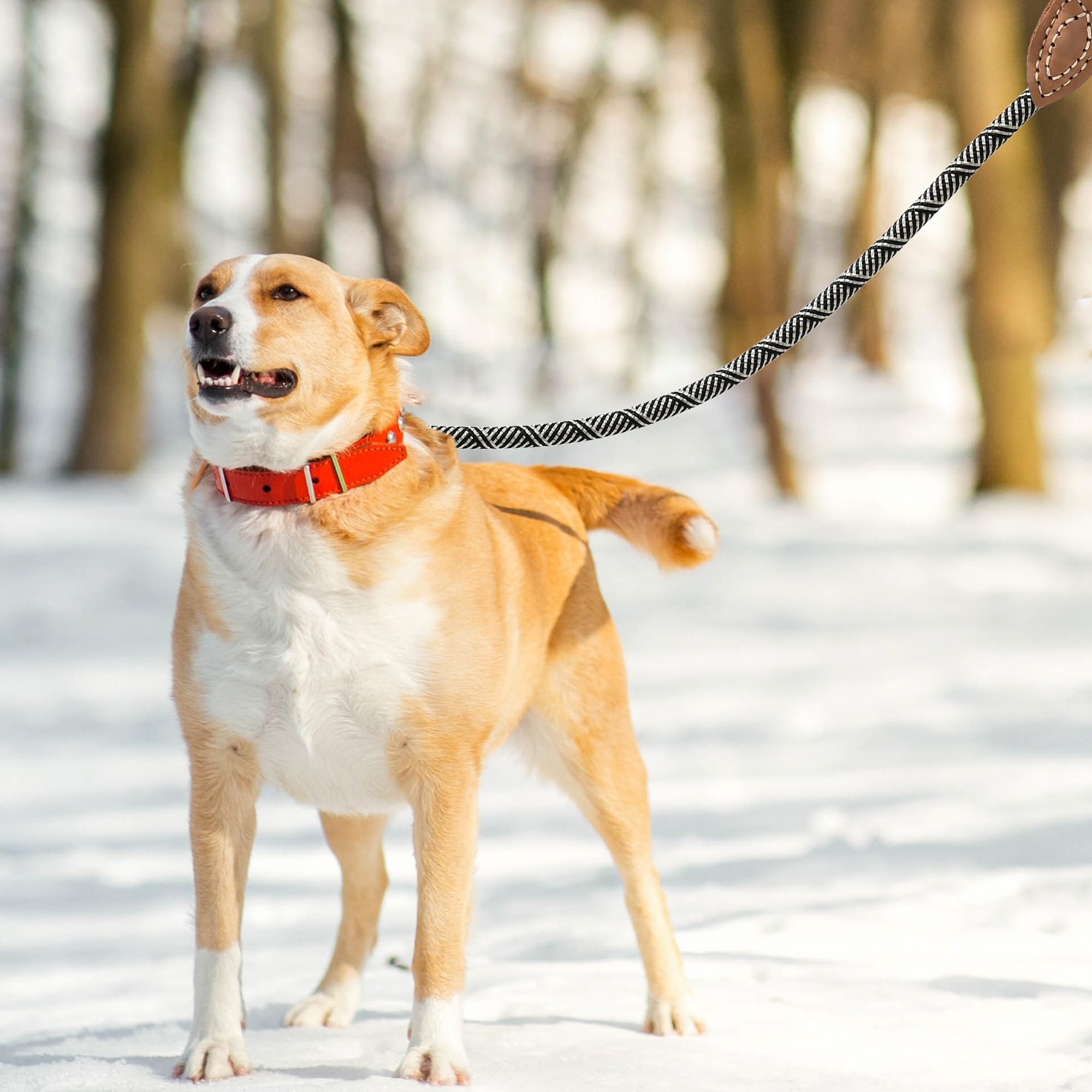 Mile High Life | Mountain Climbing Dog Rope Leash With Heavy Duty Metal Sturdy Clasp | Genuine Leather Tailored Connection With Strong Stitches (White, 48 Inch (Pack Of 1))