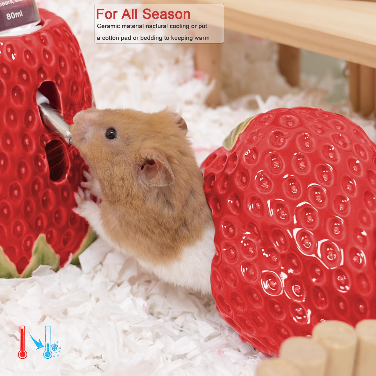 Zhilishu Ceramic Hamster Hideout, Strawberry Hamster House and Habitat, Syrian Hamster Hideout Decor Cool Bed for All Season Ger