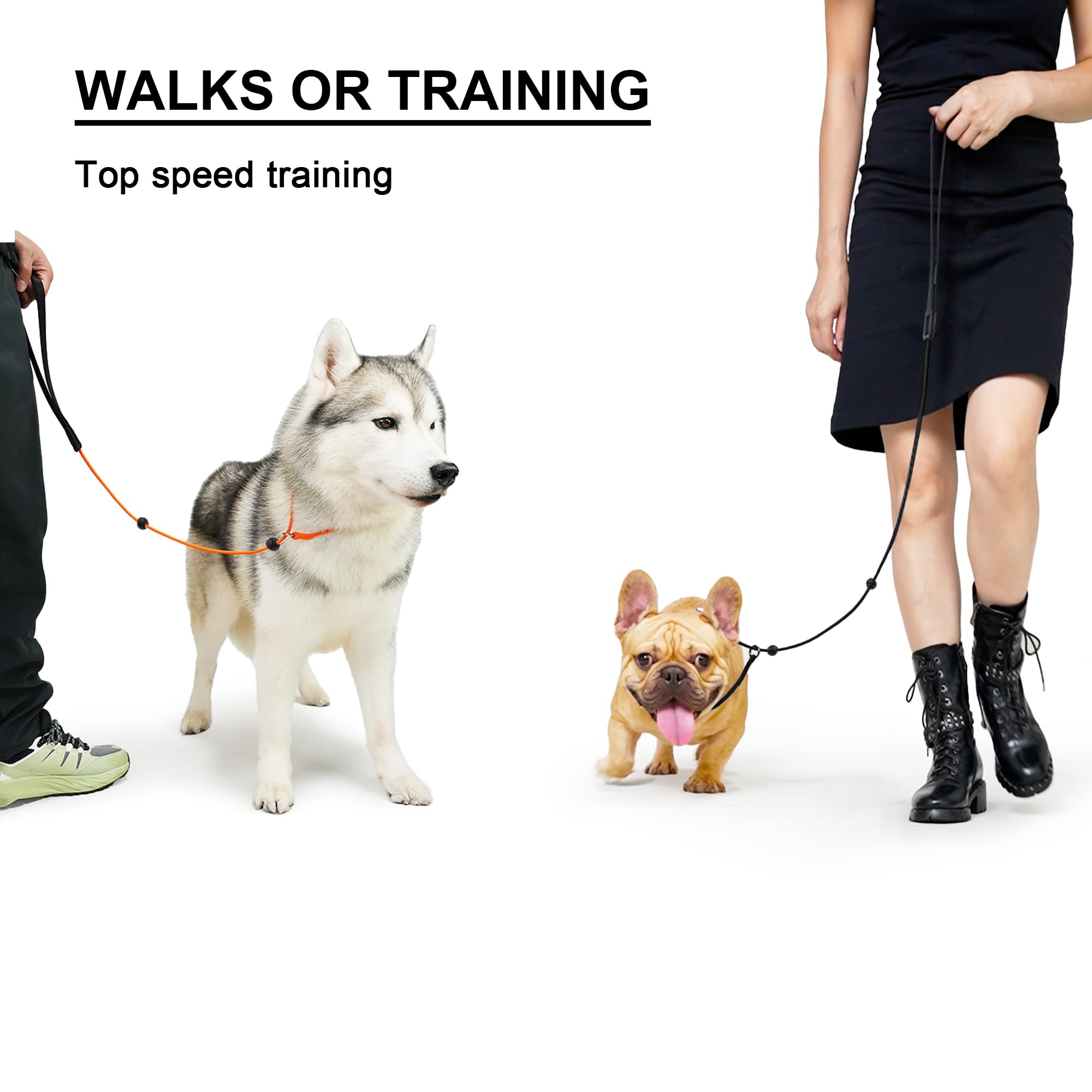 BeauGo Dog Slip Lead - 1.8M Black Nylon Training Leash for Small, Medium, Large Dogs - Gentle Leader Model WALK DOG