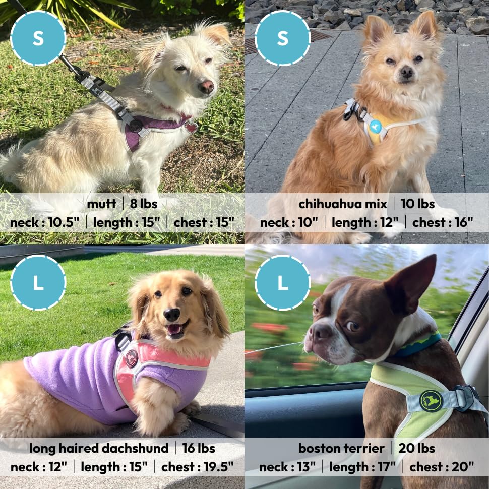 Gooby Simple Step in III Harness - Green, Medium - Small Dog Harness with Scratch Resistant Outer Vest - Soft Inner Mesh Harness