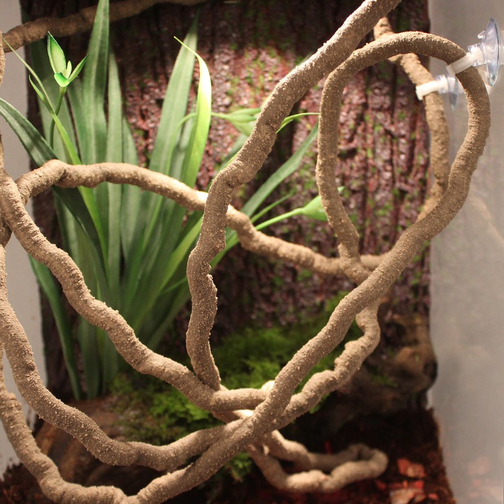 Eonmir 8-Foot Reptile Vines, Flexible Jungle Climber Long Vines Habitat Decor For Climbing, Chameleon, Lizards, Gecko (Thick Vin