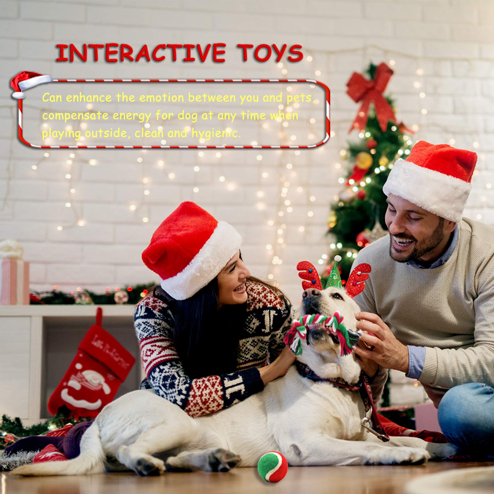 Petuol Christmas Dog Stocking Toys, 6Pcs Xmas Dog Toy Set With Squeaky Toys