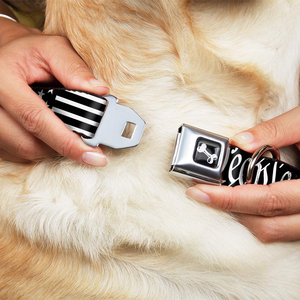 Dog Collar Seatbelt Buckle Americana Flag We The People Black White 18 To 32 Inches 1.5 Inch Wide