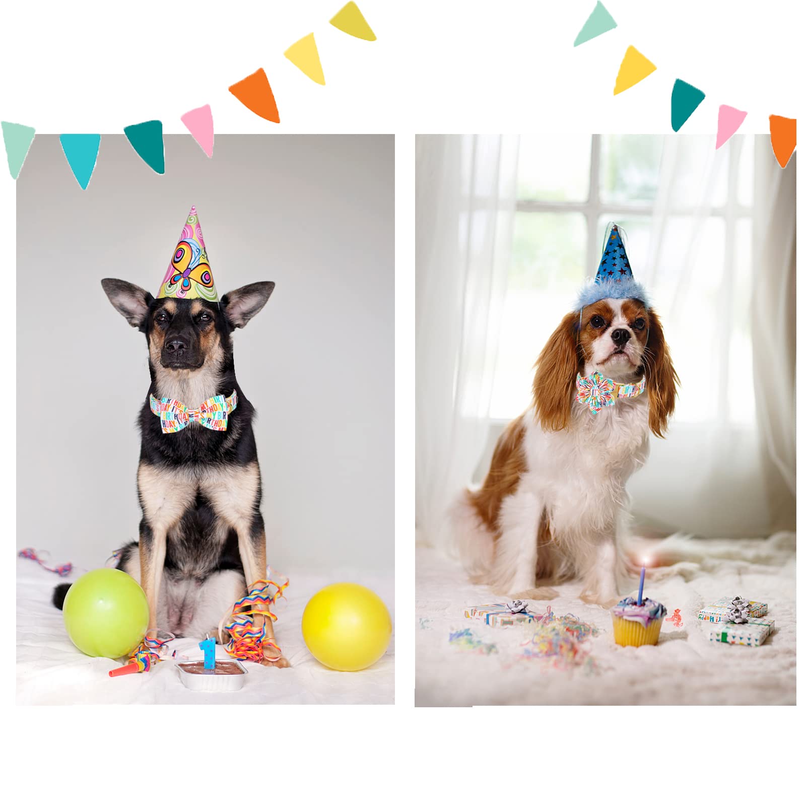 Unqiue Style Paws Birthday Dog Collar, Soft And Cute Dog Bow Tie, Durable Pet Collar With Bow Adjustable Bow Dog Collar For Medium Dogs