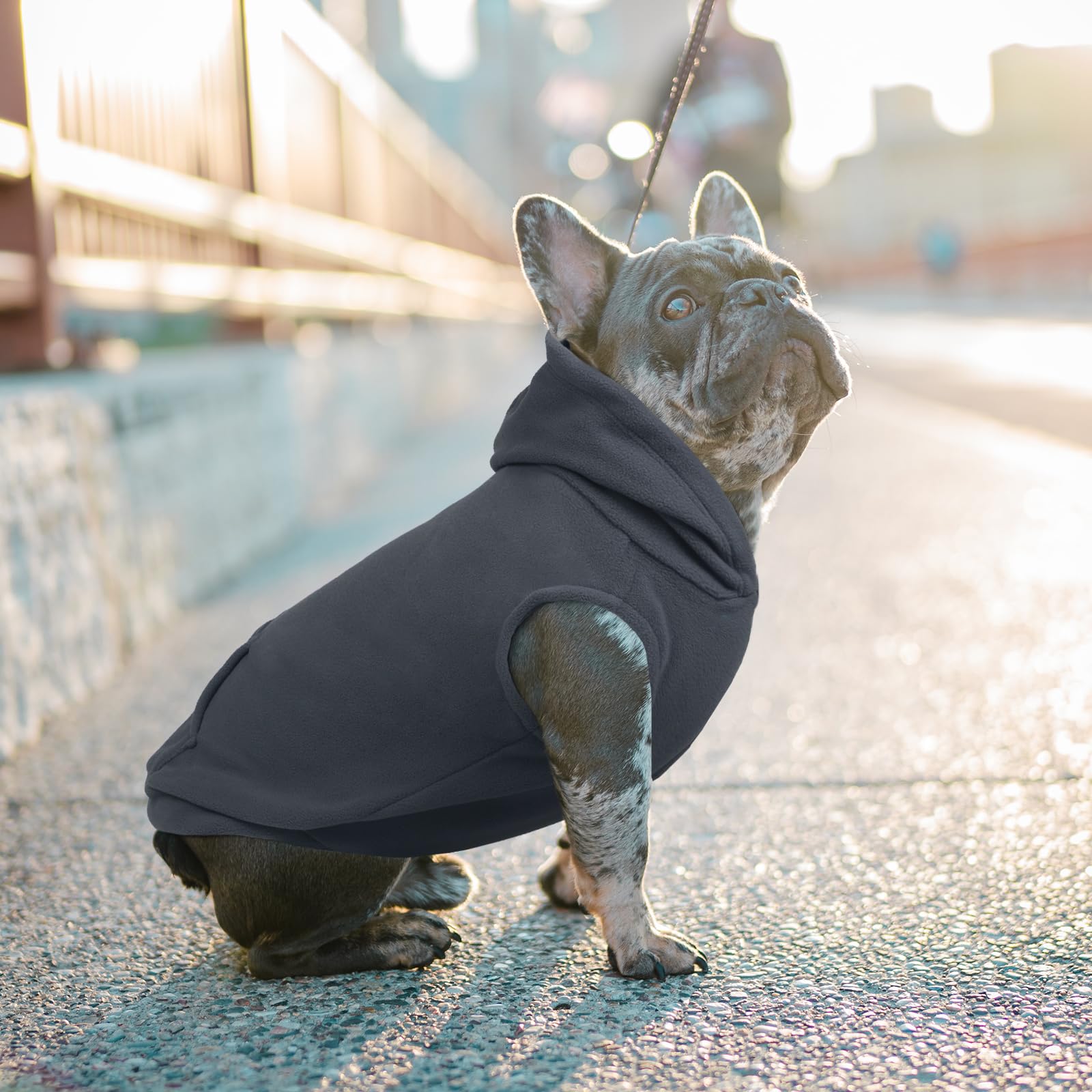 Iecoii Large Dog Sweatshirt, Hooded Fleece Vest With Leash Hole, Grey, 3Xl, Christmas Labrador Sweater