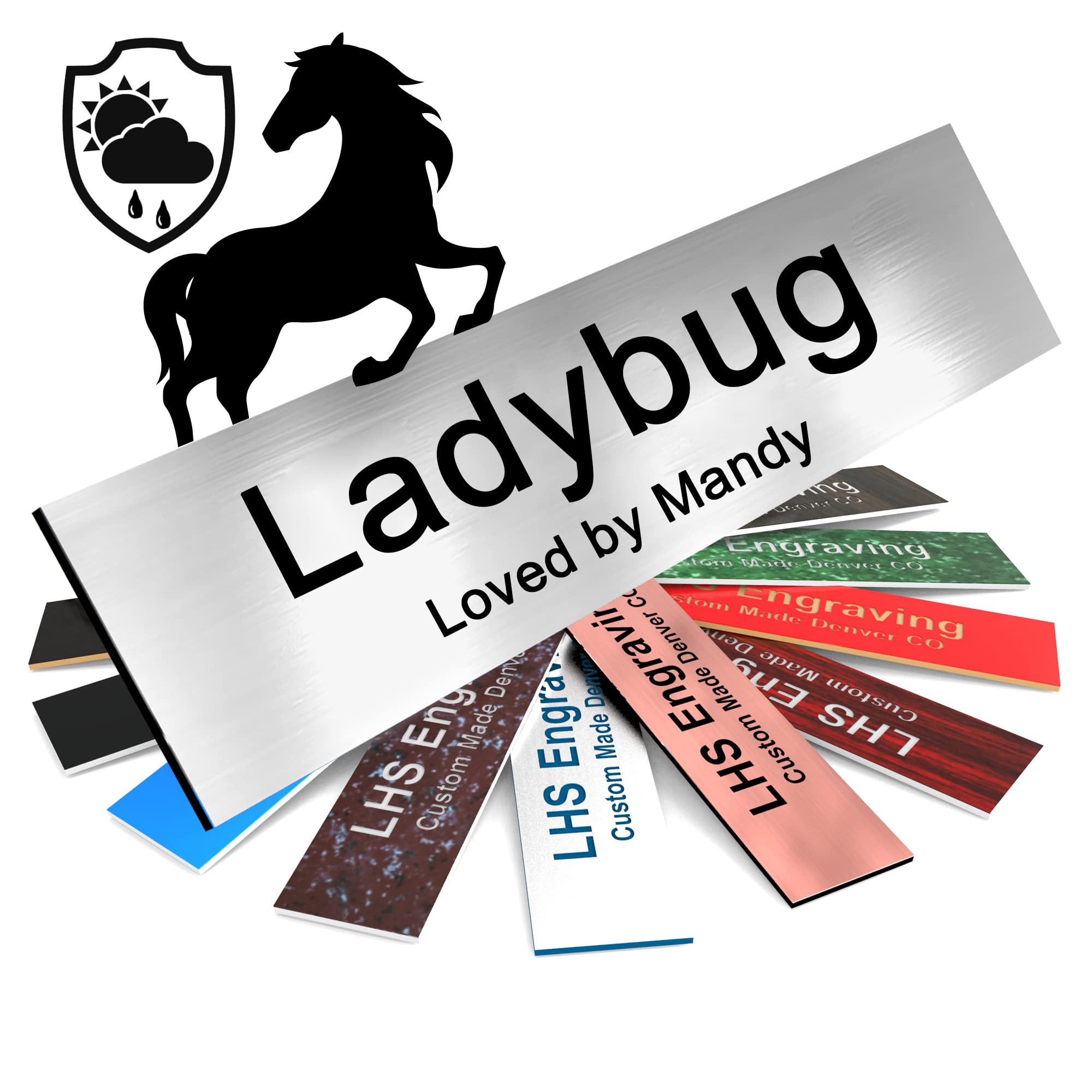 Lhs | Personalized Horse Stall Name Plates, 2X12 Horse Stall Signs With Adhesive, All Weather Uv Protected, Black Brushed Steel 