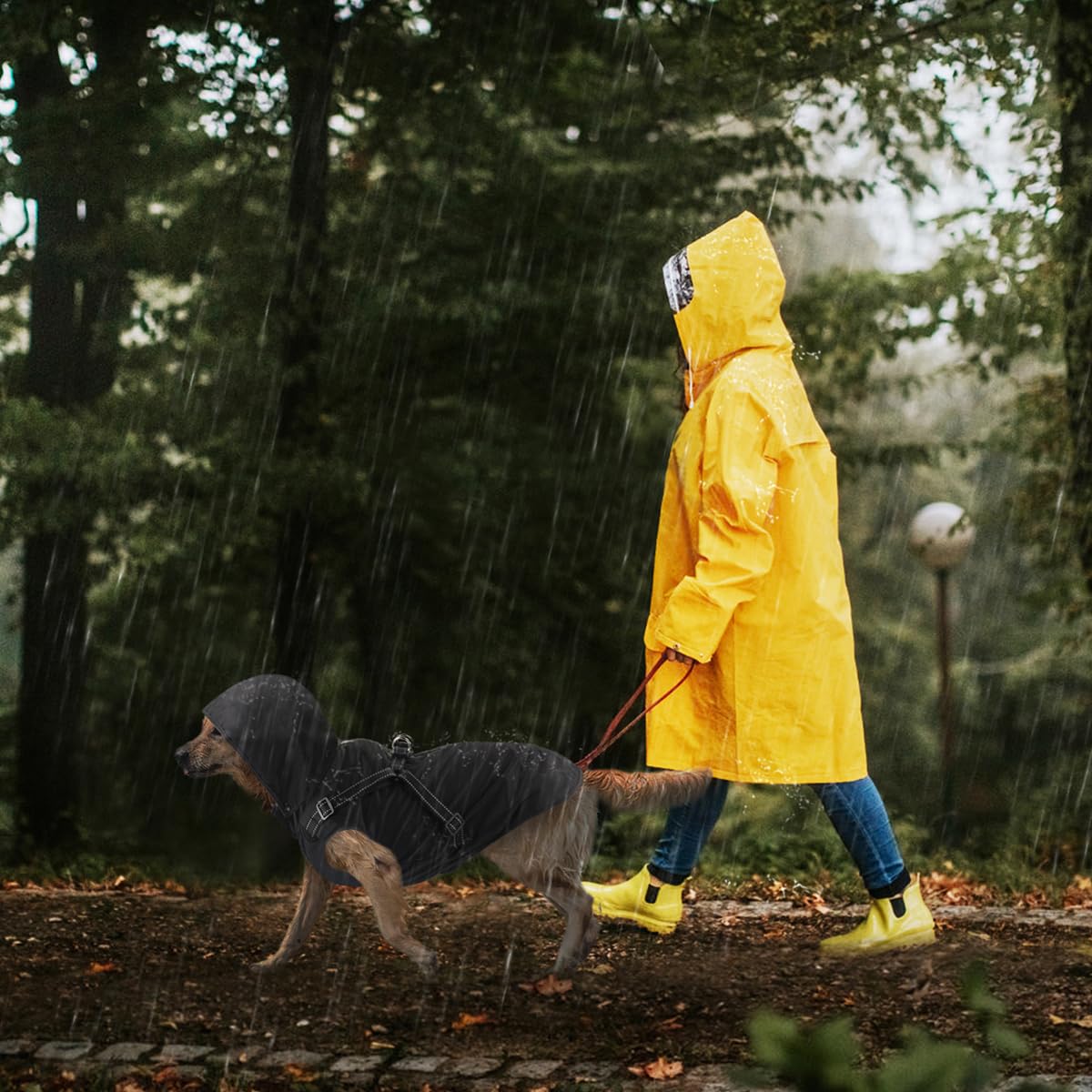 Mosucoirl Dog Raincoat Waterproof Dog Hoodie Reflective Dog Raincoat Hooded Adjustable Rain Jacket For Small Medium Large Dogs P