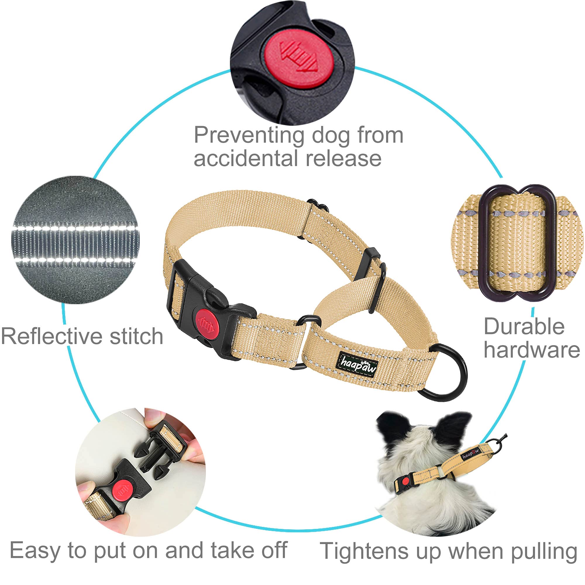 Haapaw 2 Packs Martingale Dog Collar With Quick Release Buckle Reflective Dog Training Collars For Small Medium Large Dogs (S Ne