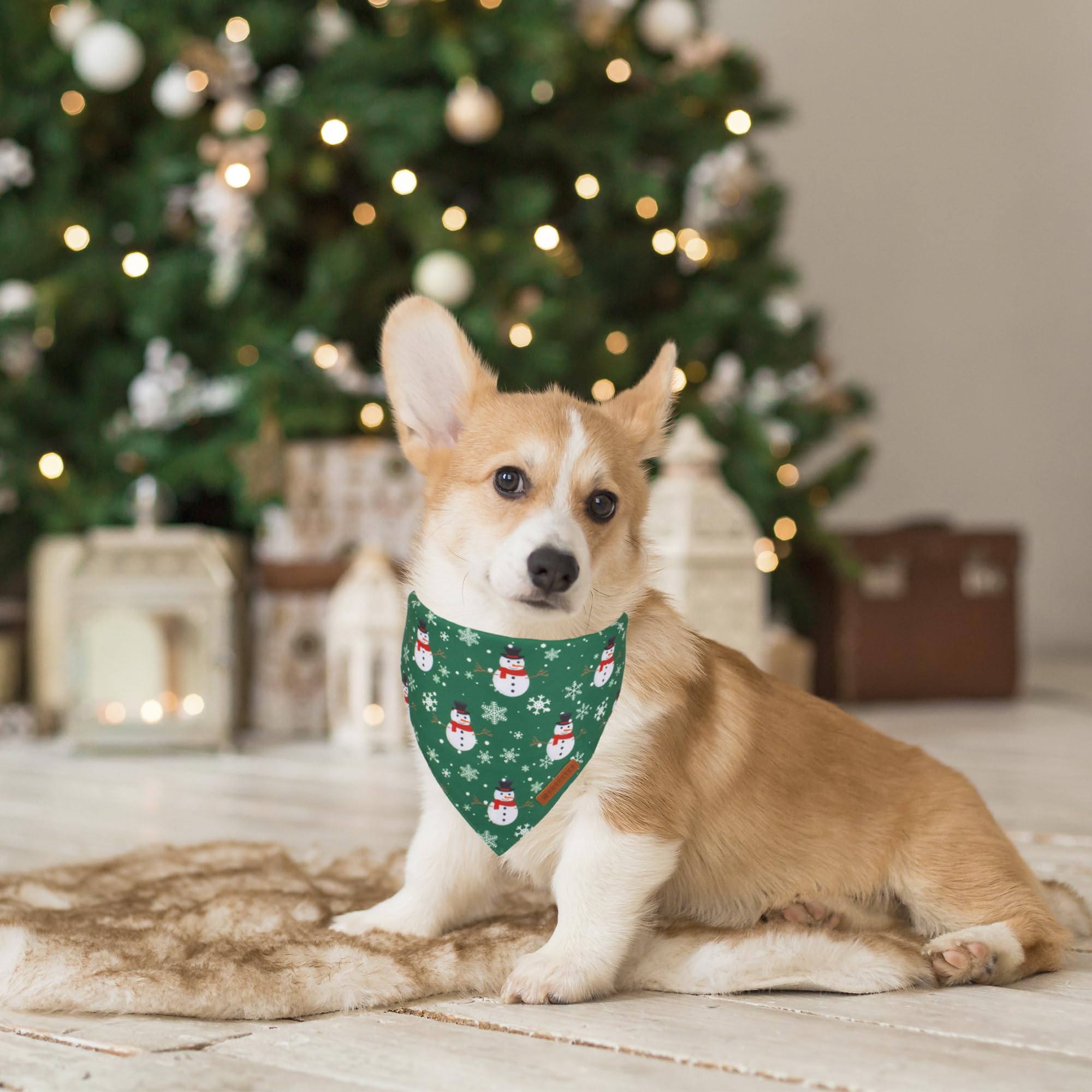 ADOGGYGO Christmas Dog Bandanas, Snowman Santa Xmas Pet Scarf, Multi Size Offered, Red Green Christmas Bandana for Medium Large