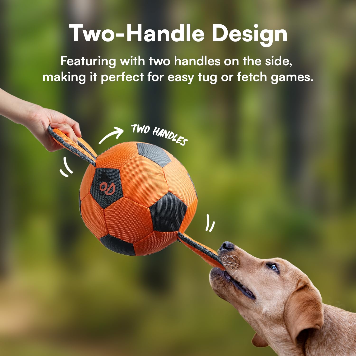All For Paws Ballistic Handle Ball