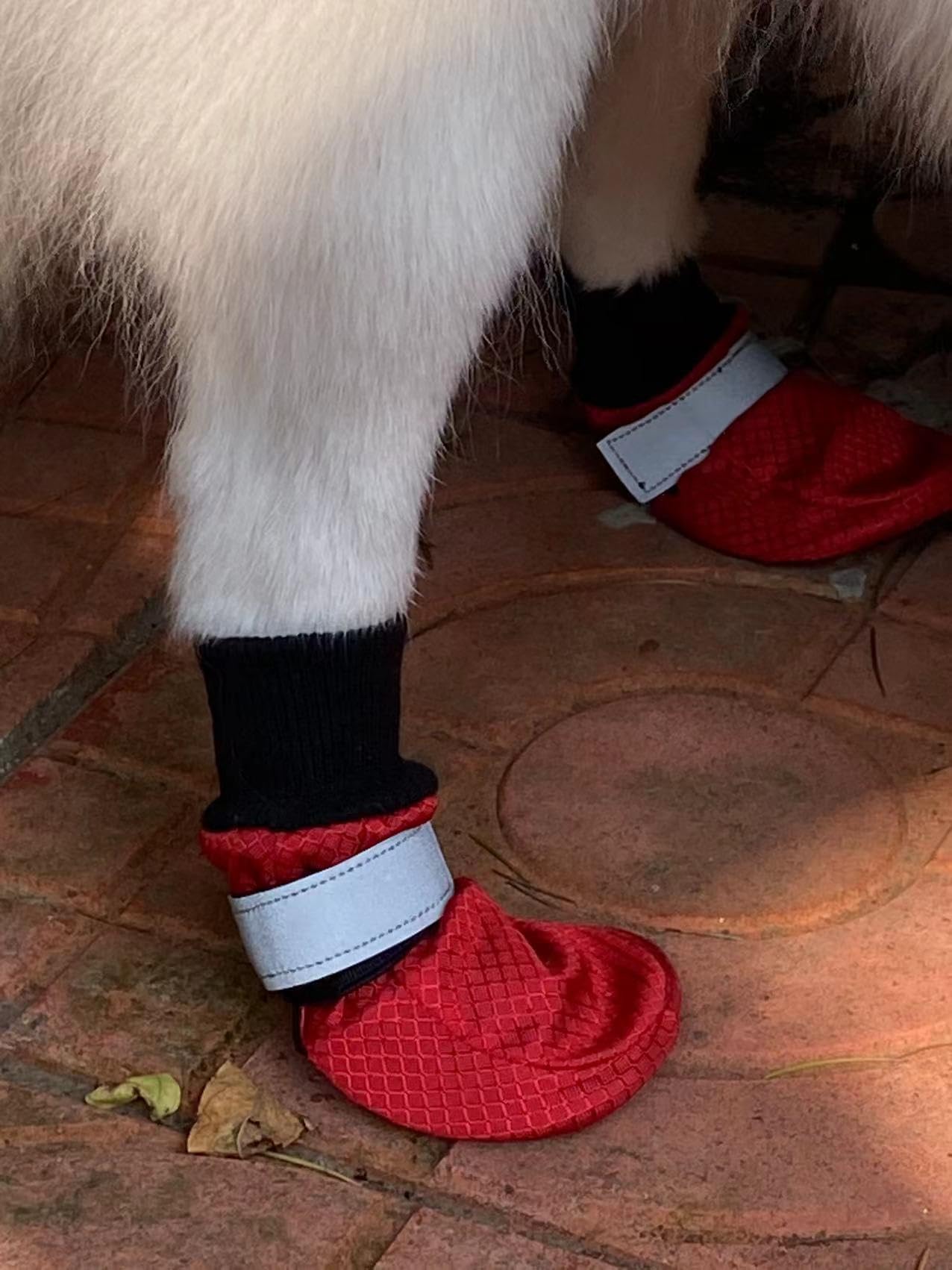 LONSUNEER Winter Paw Protector Dog Boots Waterproof Soft Sole and Nonslip Set of 4 Color Red Size XL