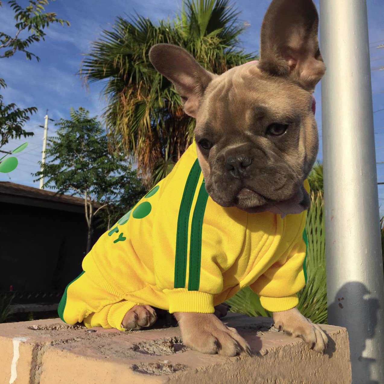 Otunrues Dog Hoodie Security Clothes 4 Legs Jumpsuit Sweatshirt Hoodies Soft & Warm Dog Outfit Pullover Dog Winter Clothes Sweat