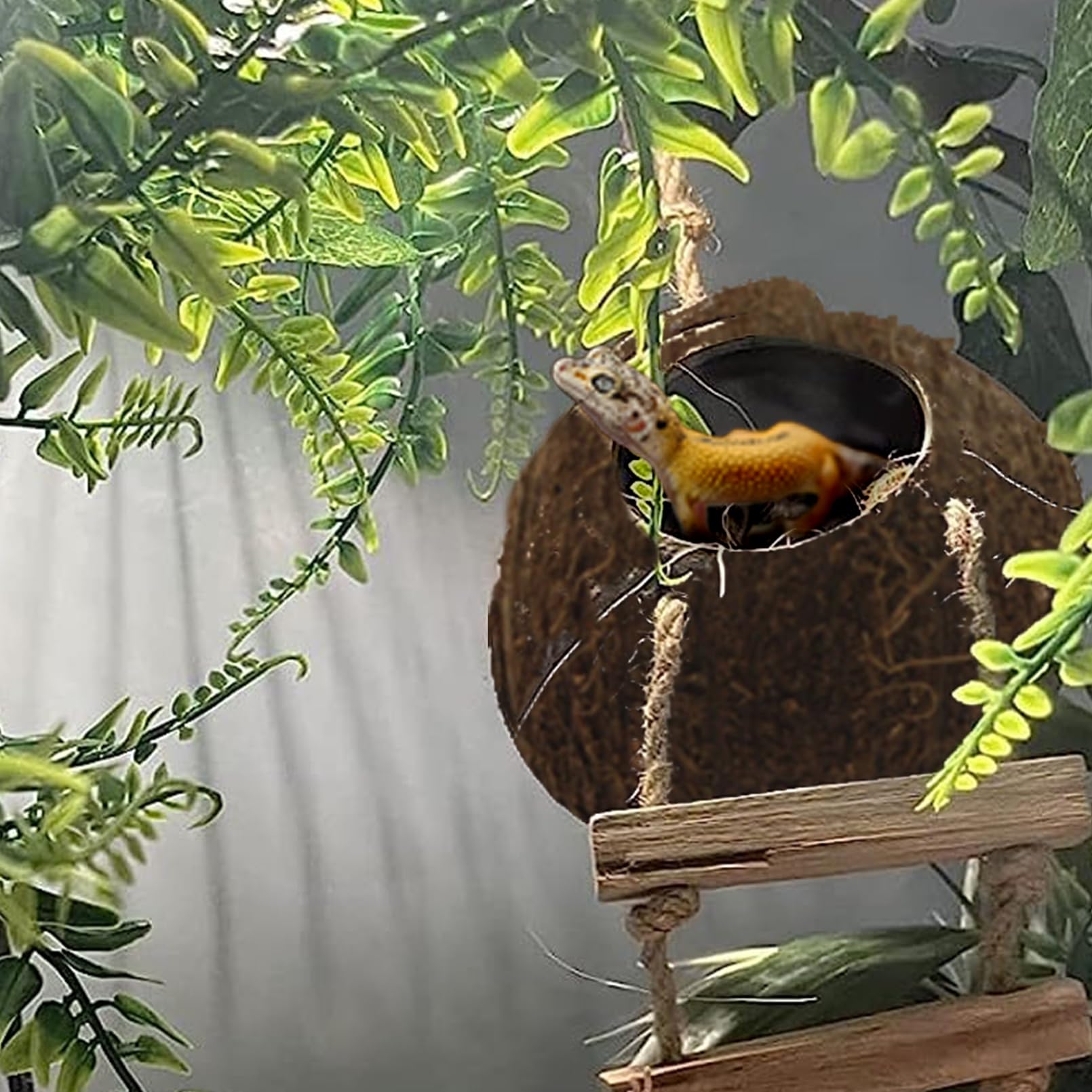 Muyg 5Pcs Coconut Hut For Gecko, Lizard Coco Den With Ladder And Reptile Hammock Bearded Dragon Tank Accessories Climbing Hangin