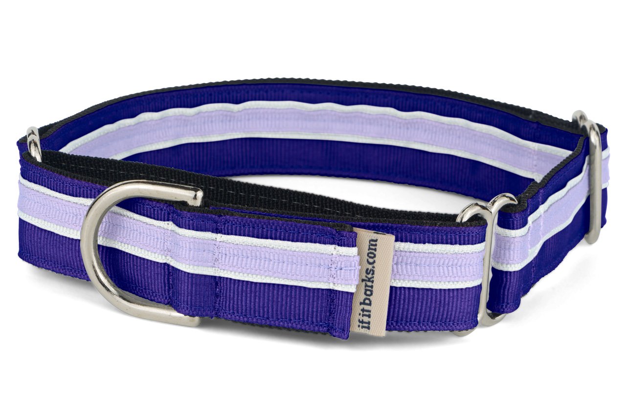 If It Barks 1'' Martingale Collar For Dogs, Adjustable Nylon, Usa Made, Small, Grape Crush