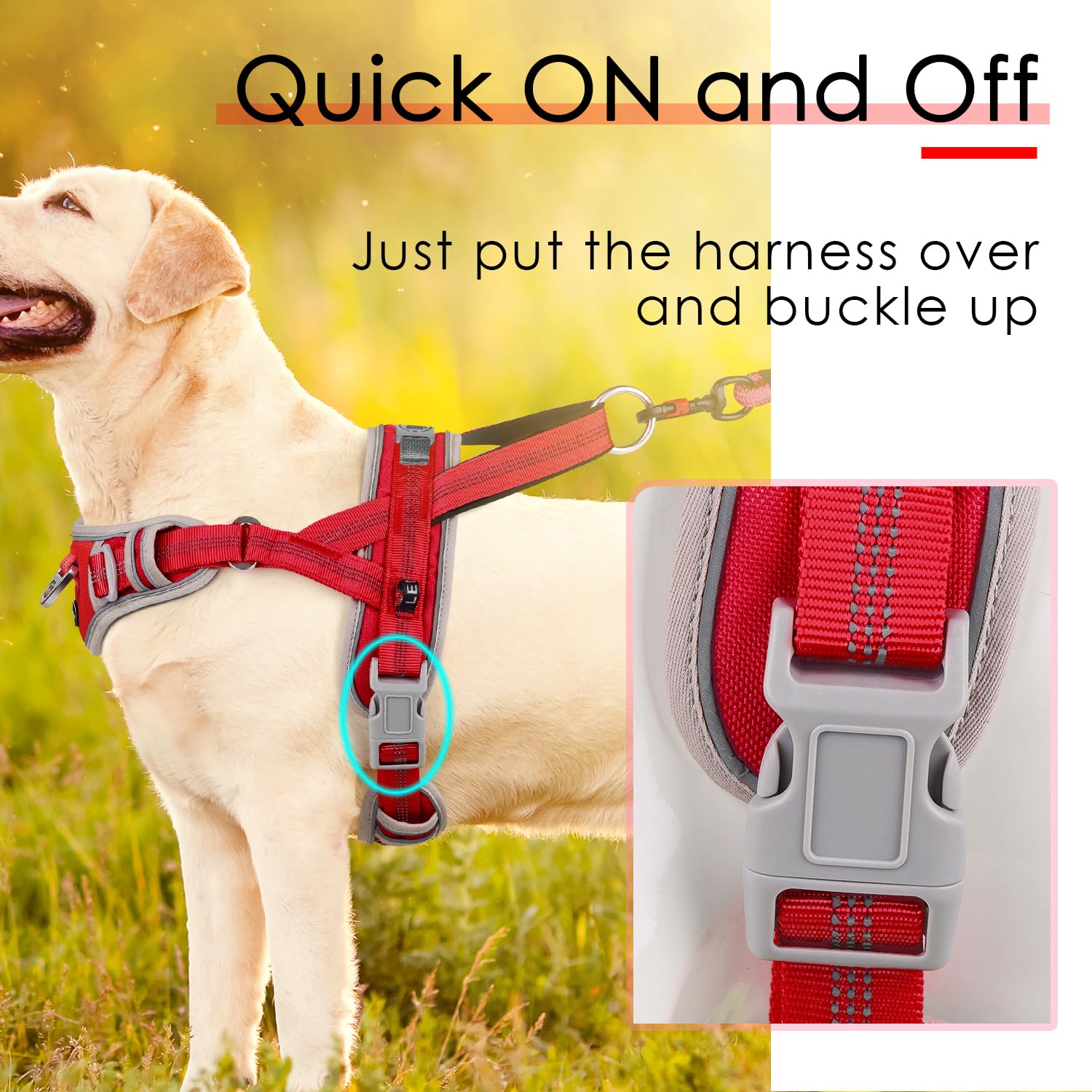 ADVENTUREMORE No Pull Dog Harness, Reflective Vest, Front Clip Handle, Large, Nylon, Rose Red, Model CPHA-0415-QR-L-LR