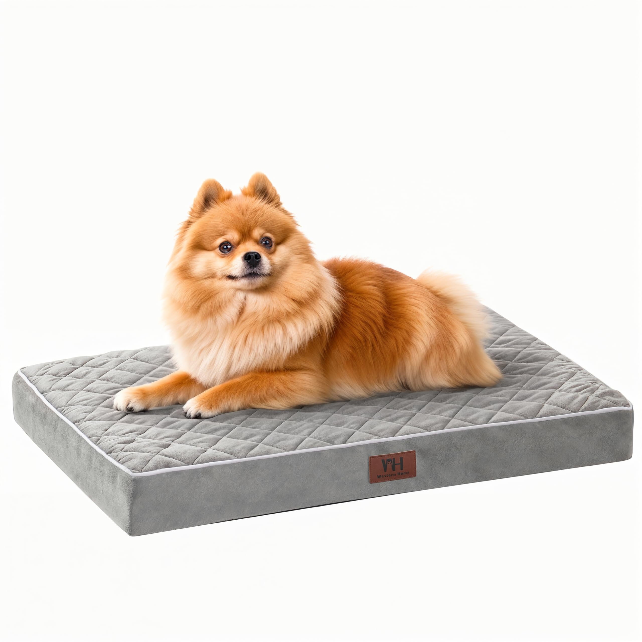 Orthopedic Dog Beds For Medium Large Dogs With Removable Washable Cover, Dog Crate Bed For Xxl Xl Large Medium Dogs, Velvet Plus