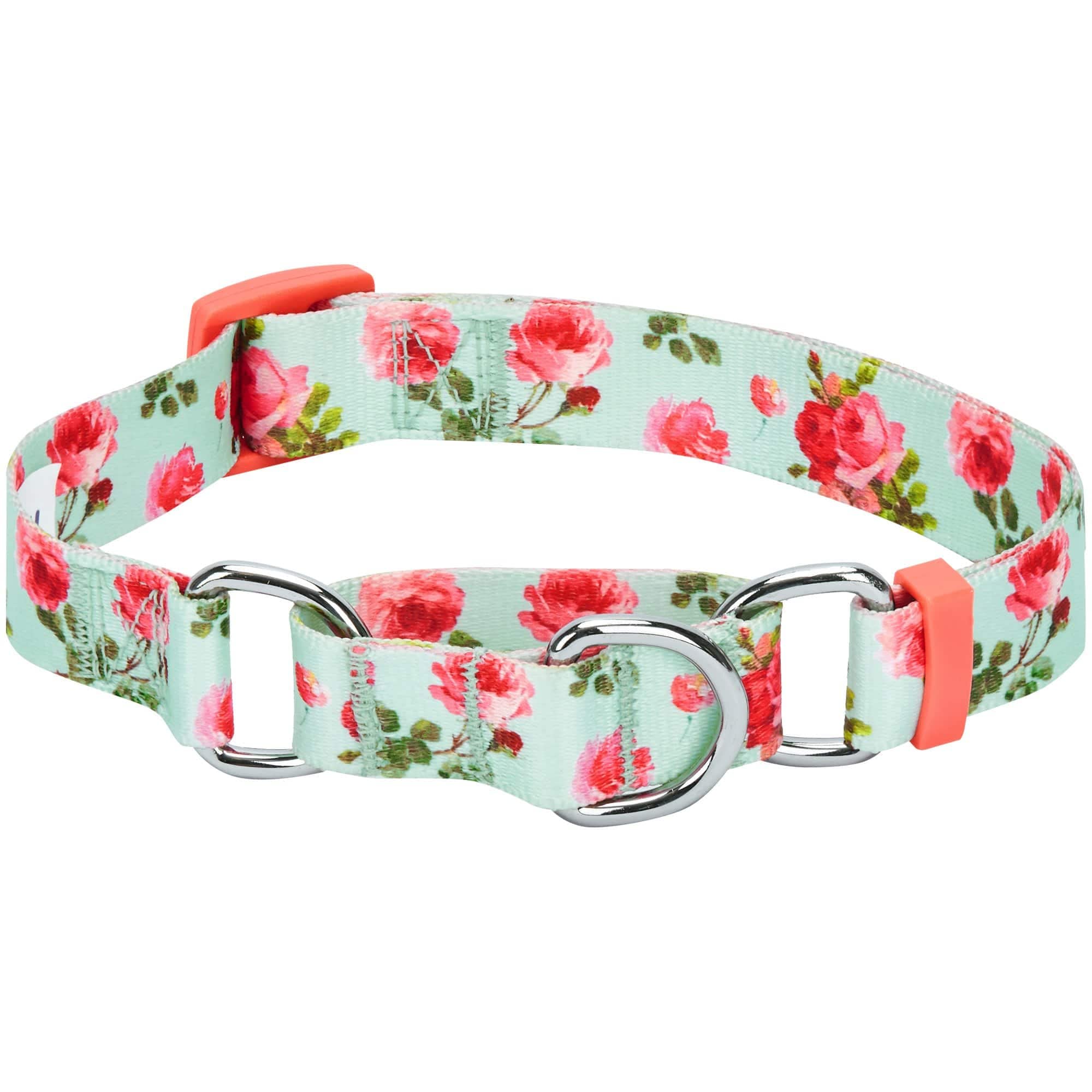 Blueberry Pet Spring Scent Inspired Rose Print Martingale Safety Training Dog Collar, Turquoise, Small, Heavy Duty Adjustable Co
