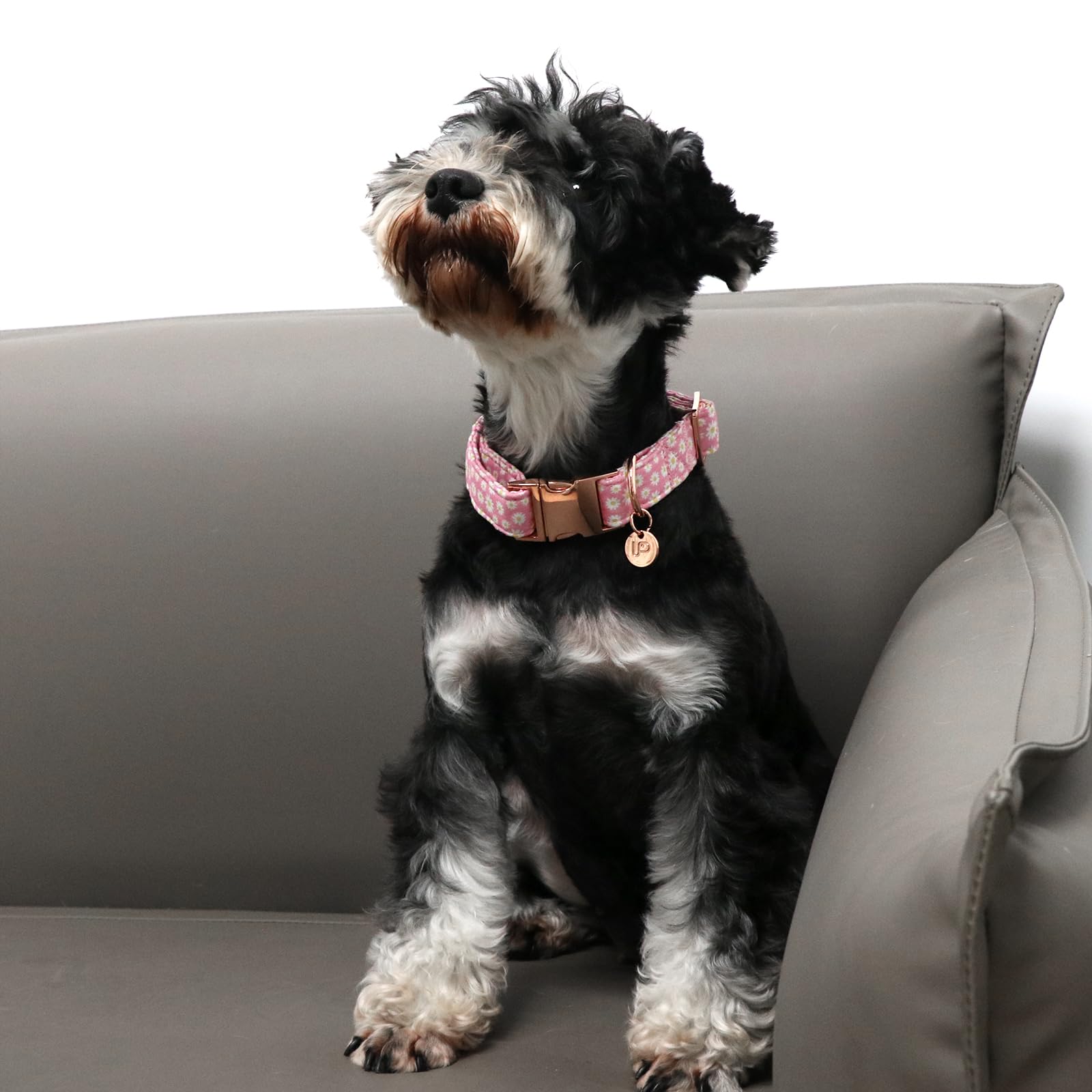 Up Urara Pup Daisy Summer Cotton Dog Collar With Metal Buckle Gift Pink Collar For Small Medium Large Girls Or Boys Dogs Cute Du