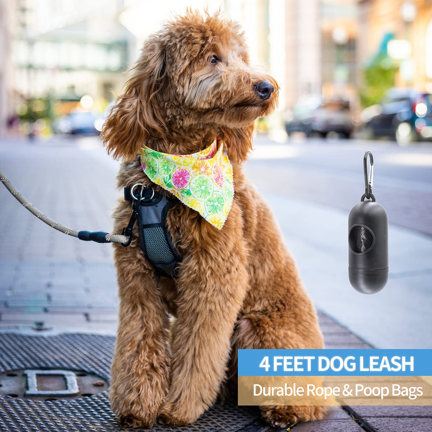 Baapet 2/4/5/6 Ft Dog Leash With Comfortable Padded Handle And Highly Reflective Threads For Small Medium And Large Dogs (4Ft-1/2'', Grey)