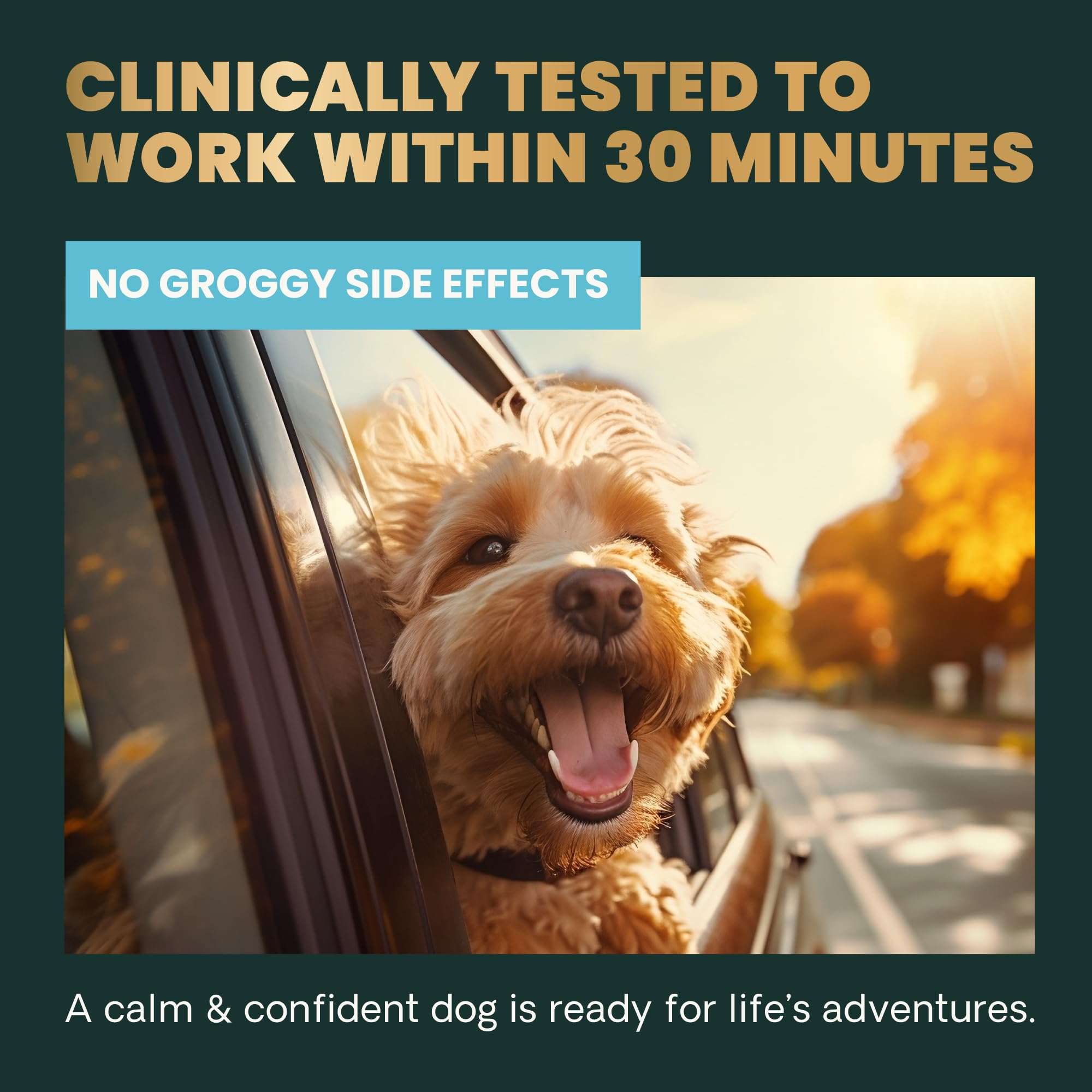 VETRISCIENCE Composure Calming Treats for Small Dogs and Puppies Anxiety, Separation Stress, Thunder and Barking - Yummy Chews P