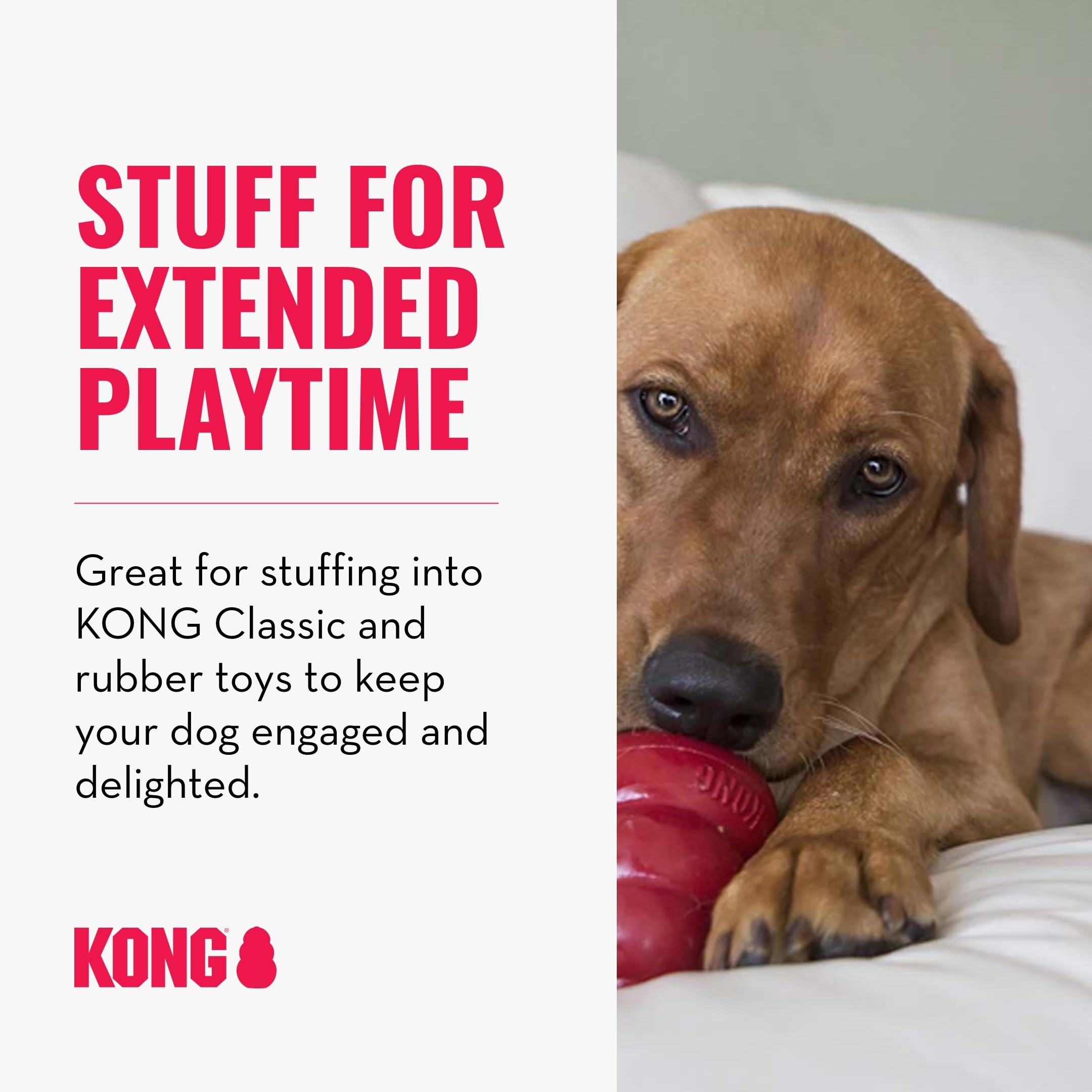 KONG - Snacks - All Natural Dog Treats - Peanut Butter Biscuits - Small (Best Used Classic Rubber Toys)