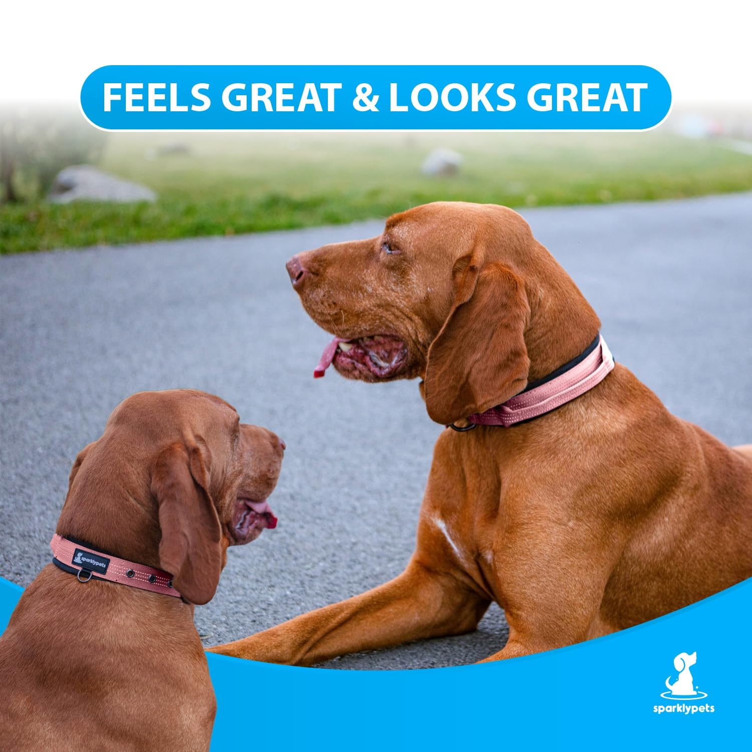 Sparklypets Heavy Duty Dog Collar With Handle For Medium And Large Dogs – Professional Collar With Reflective Stitches, Soft Handle & Nickel-Plated Buckle (Medium (14,5'~18,5'), Pink)