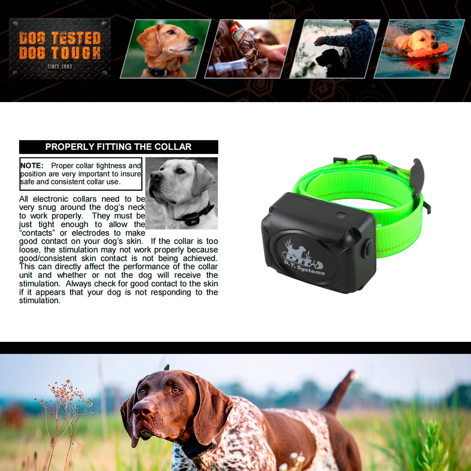 Dt Systems H2O 1810, 1820, 1830 Plus Series Add-On/Replacement Collar Receiver, Waterproof Rechargeable Remote Hunting Dog Training Additional E-Collar, 1800-Yard Range, 16 Stimulation Levels, Green