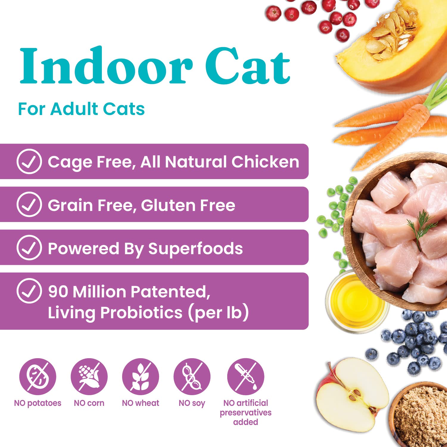 Solid Gold Indoor Dry Cat Food - Lets Stay in Cat Food Dry Kibble for Indoor Cats - Hairball & Sensitive Stomach - Grain & Glut