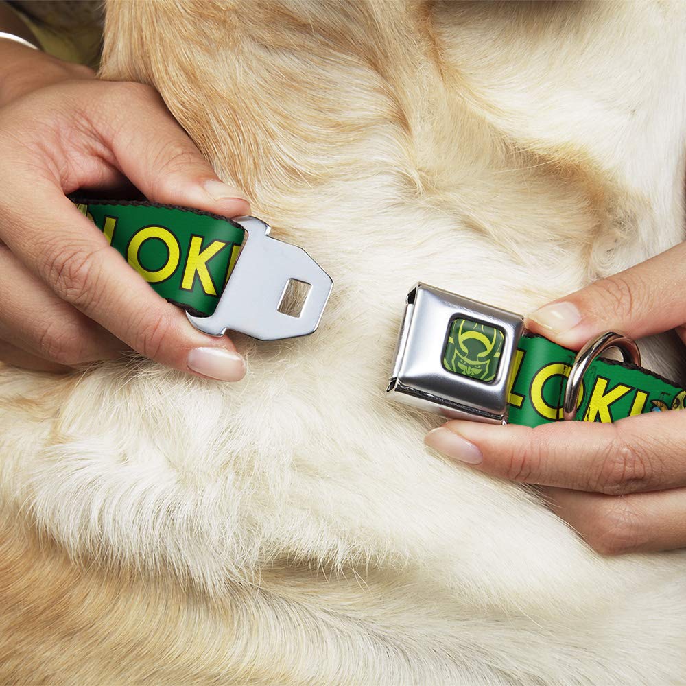 Buckle-Down Dog Collar Seatbelt Buckle Kawaii Loki Standing Pose Text Green Yellow Multi Color, Dc-Sb-Thai-Wth024-1.0-L, 1'' Wide - Fits 15-26'' Neck - Large