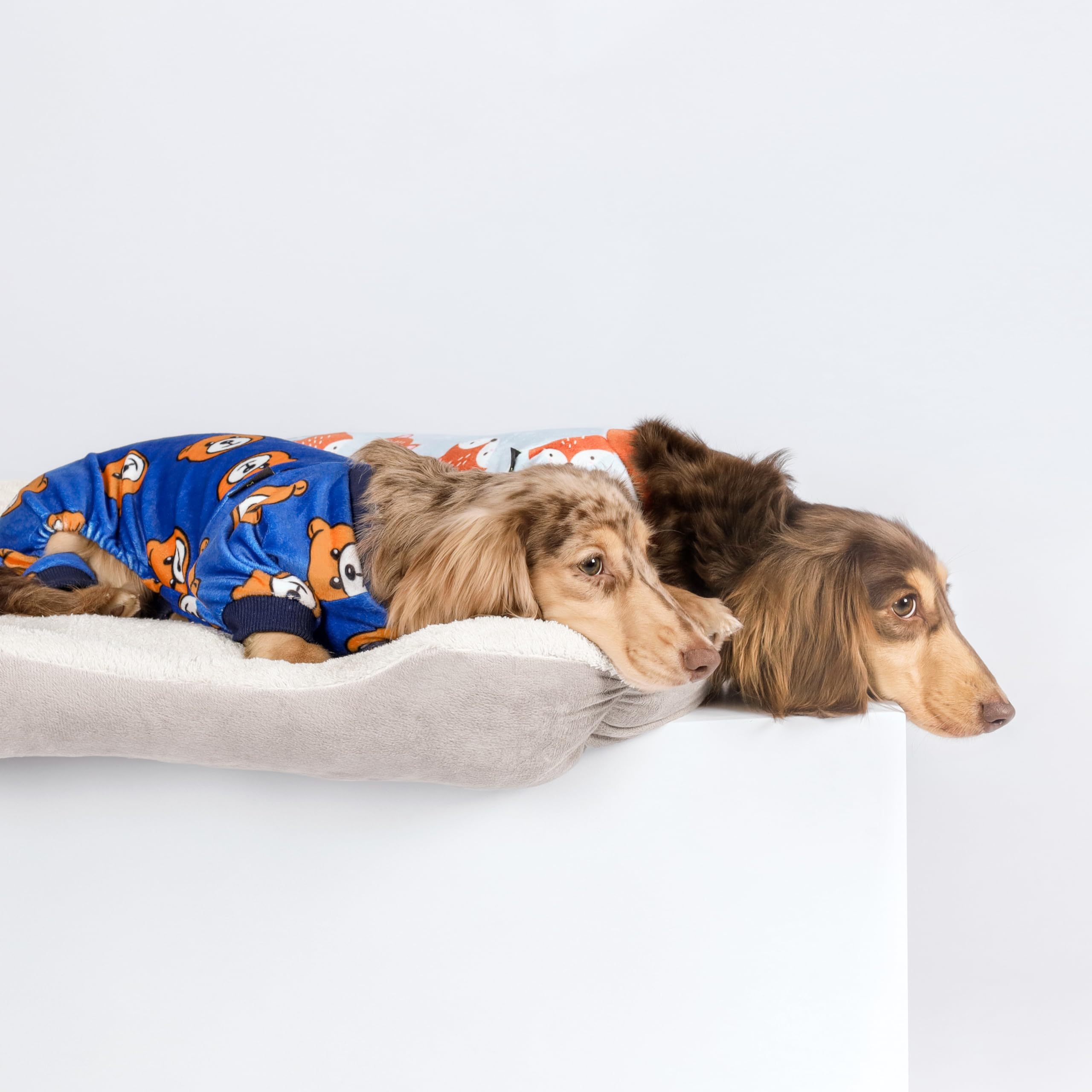 Fitwarm Cute Bear Dog Pajamas, Dog Clothes For Small Dogs Boy Girl, Fleece Pet Onesie With Feet, Royal Blue, Brown, Small
