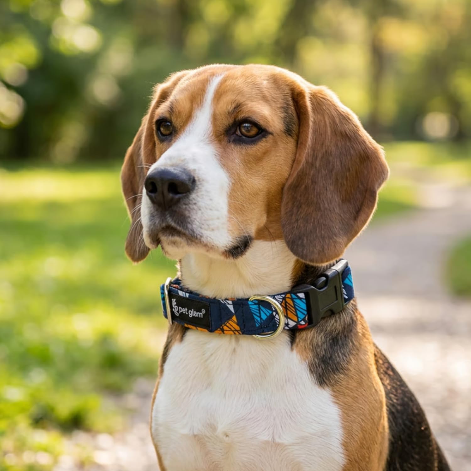Pet Glam Milo Dog Collars For Beagles Indies Shih Tzu Medium