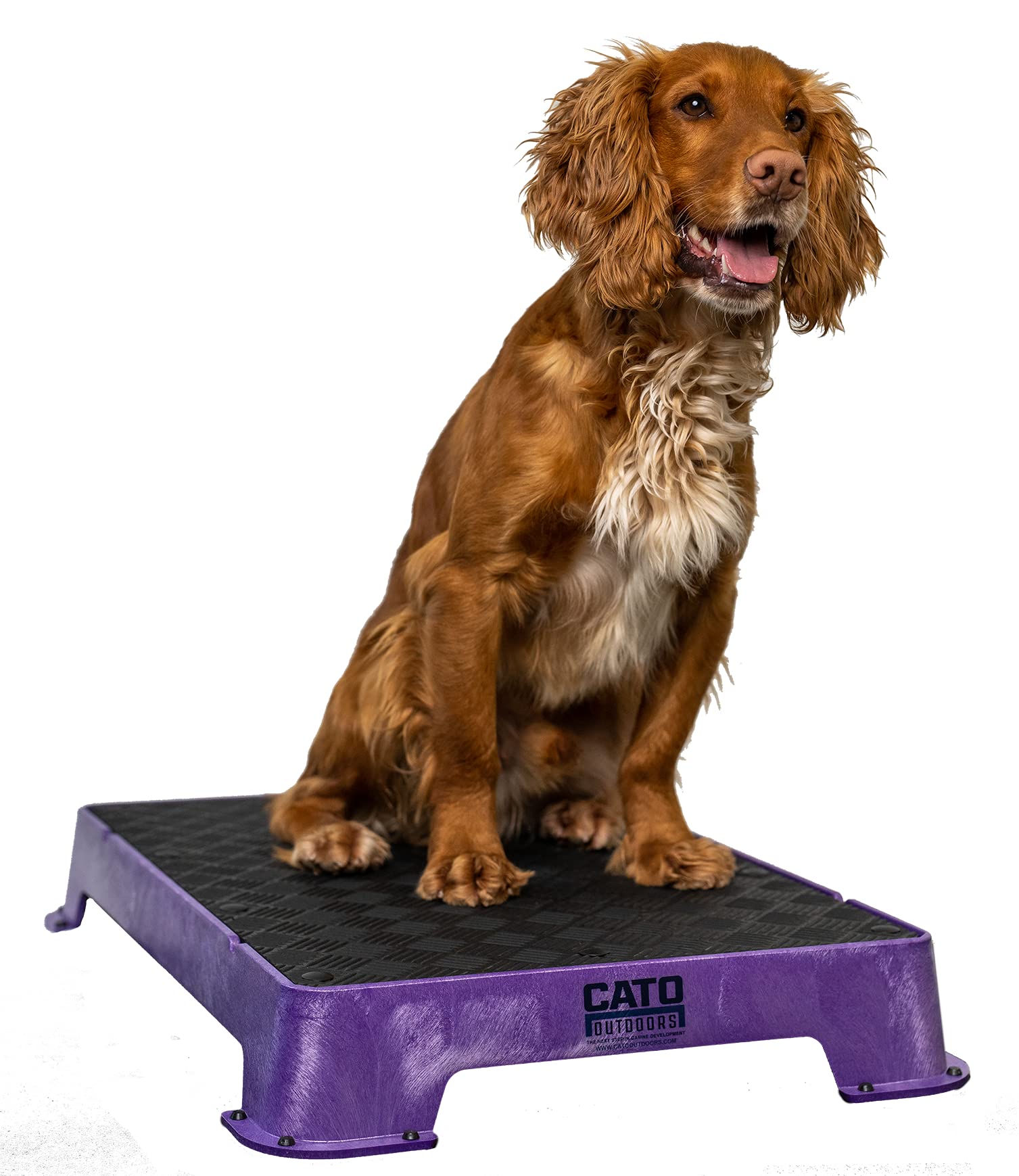 Cato Board - Dog Training Platform (Purple, Rubber Surface)
